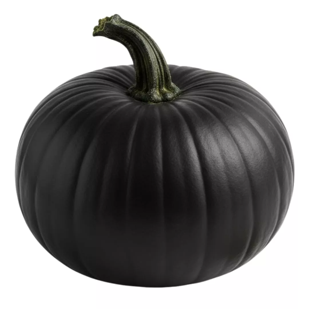 10 Black Bear Pumpkin Seeds for Planting – Large, Deep Black, Heirloom Pumpkins – Perfect for Fall Gardens, Halloween Displays, and Bold Autumn Décor