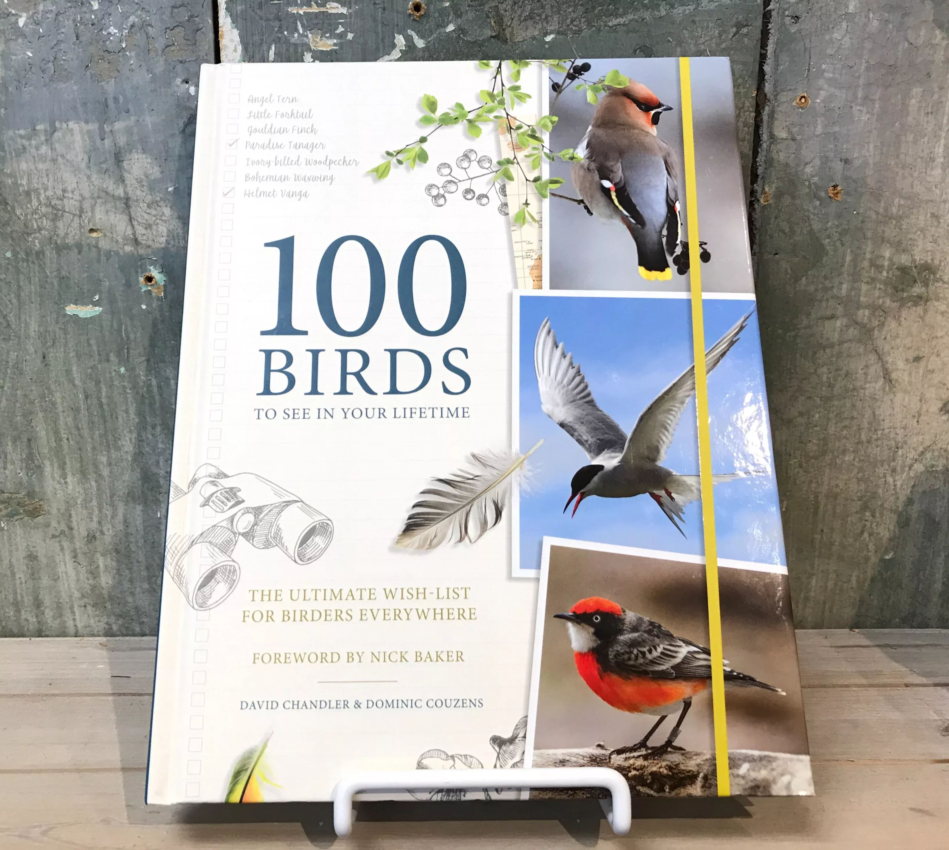 100 Birds To See In Your Lifetime