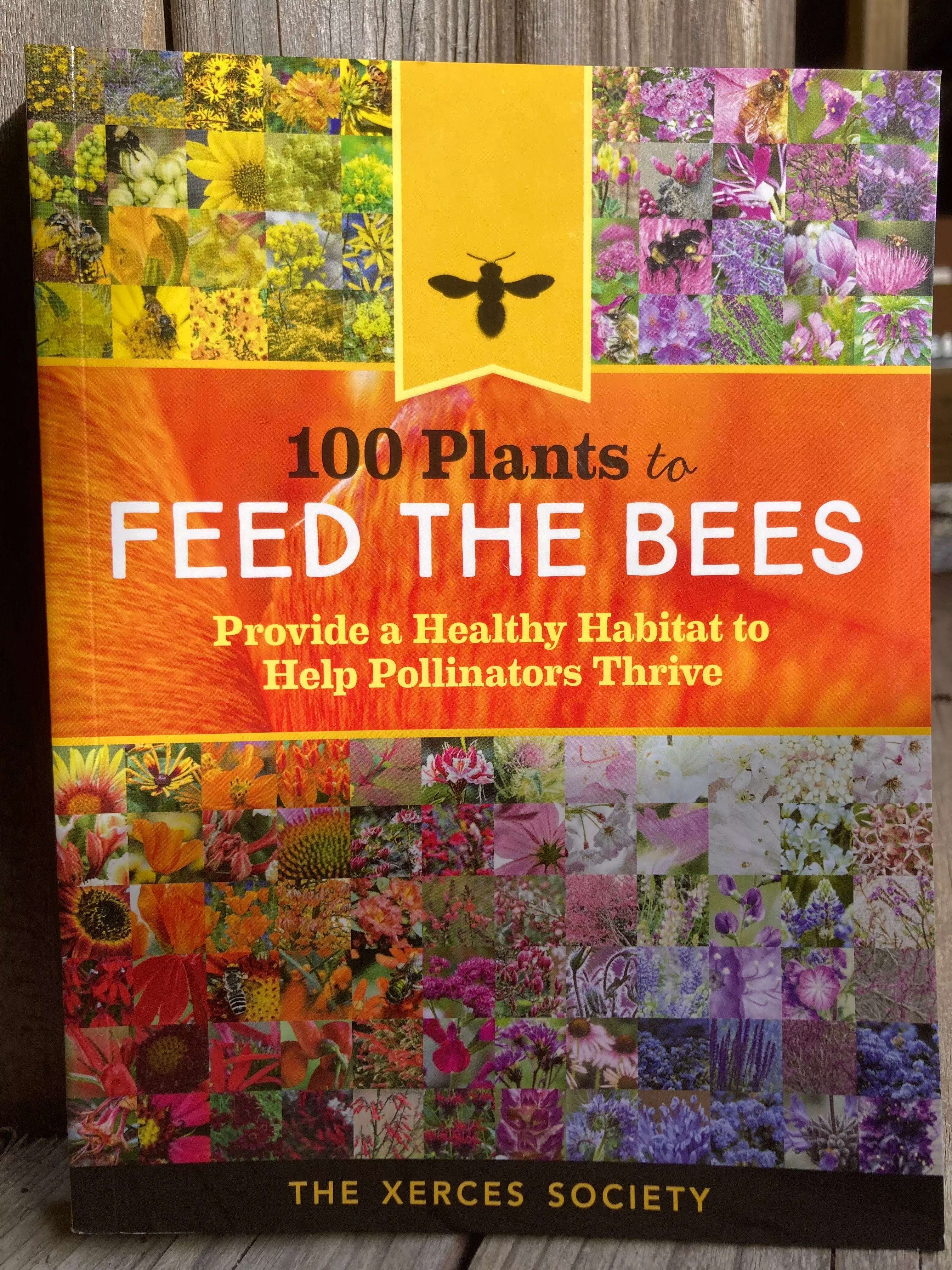 100-plants-to-feed-bees 100 Plants to Feed the Bees