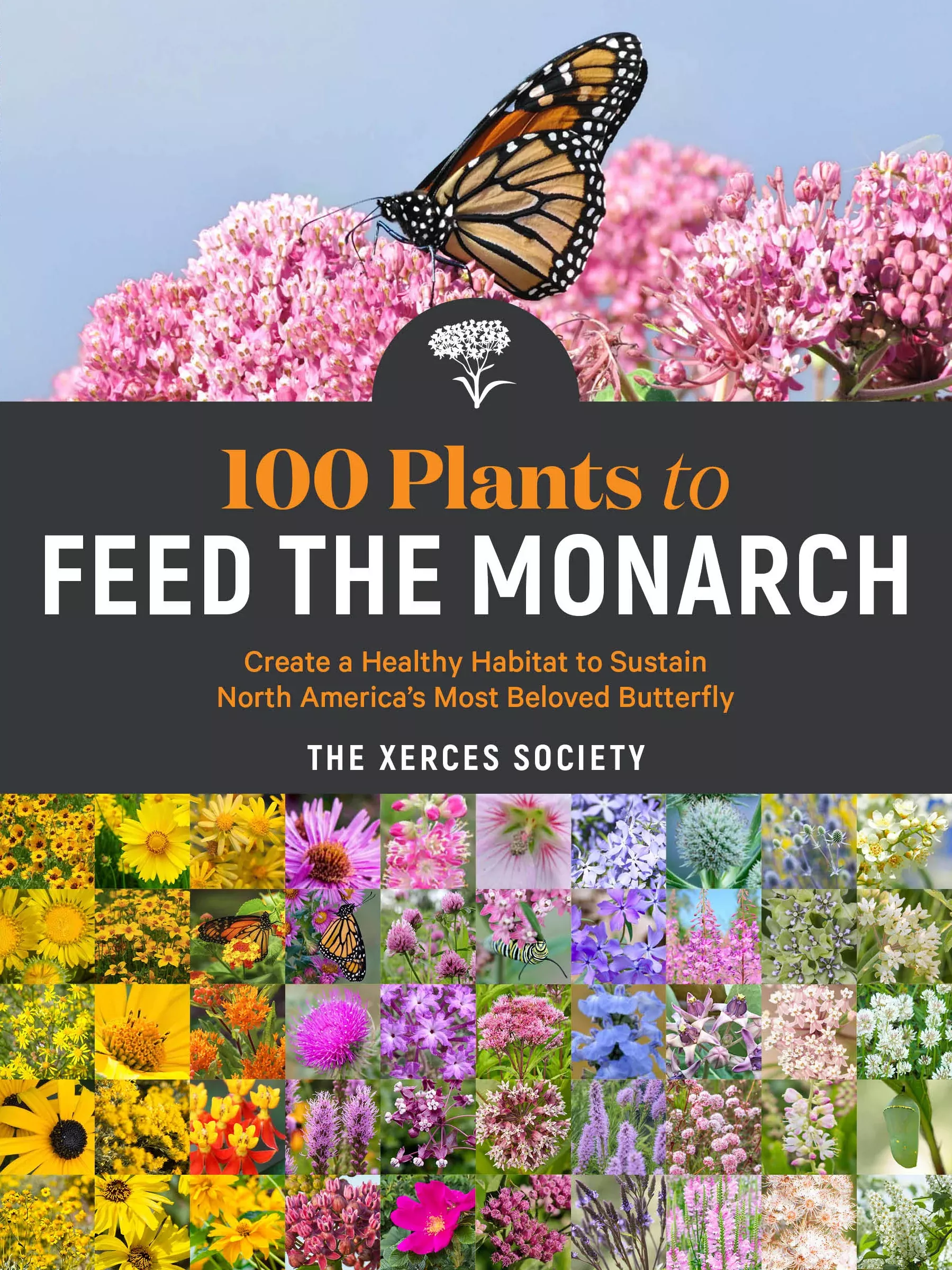 100-plants-to-feed-monarch 100 Plants to Feed the Monarch