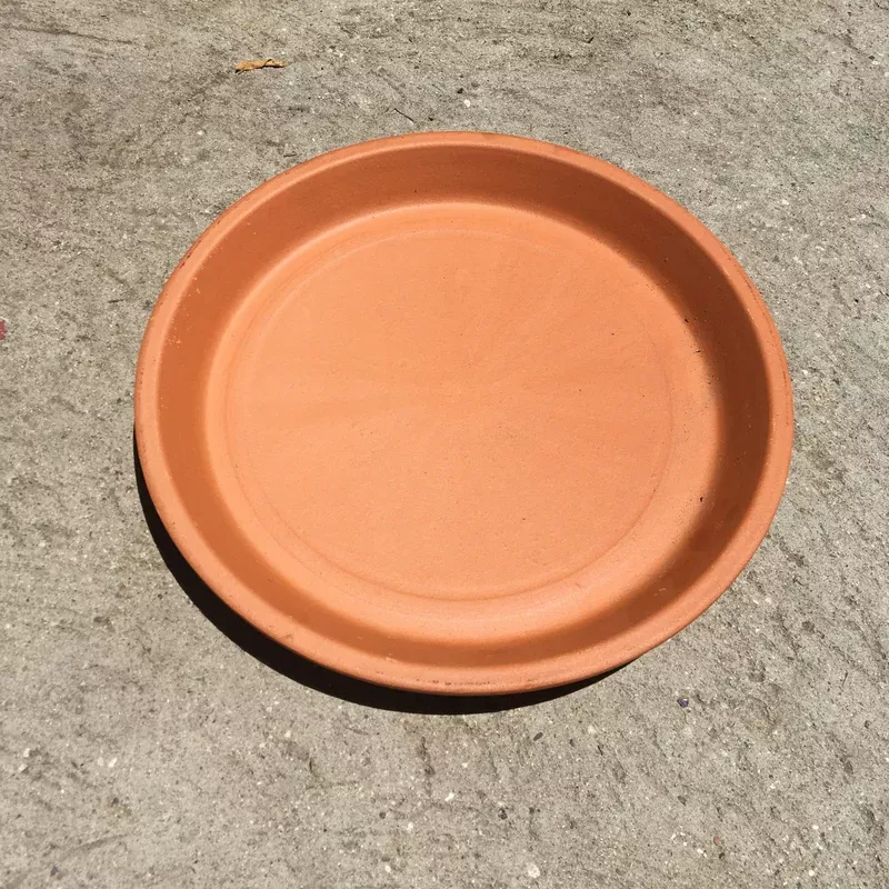 12" Bell Saucer