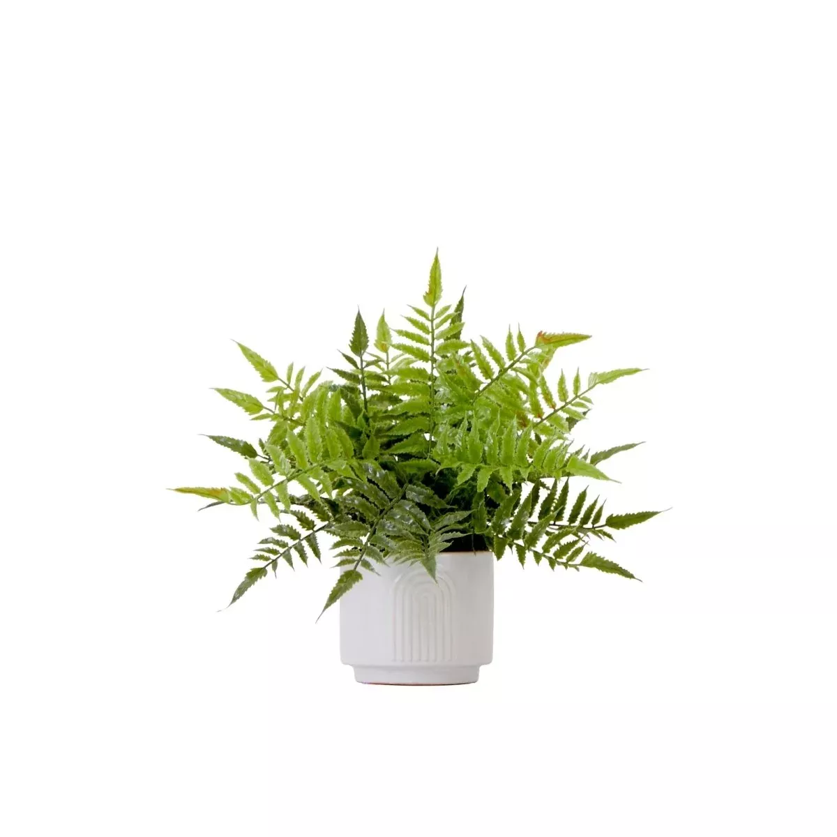 13-in Artificial Boston Fern Plant with Decorative Planter