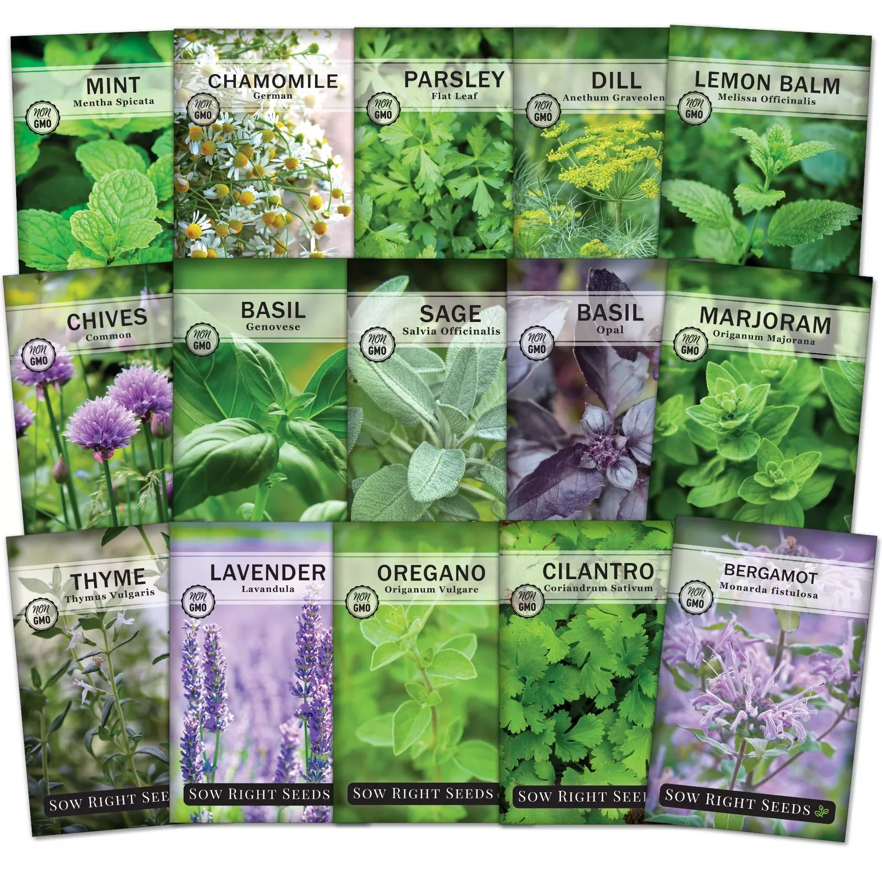 15-herb-collection 15 Herb Collection