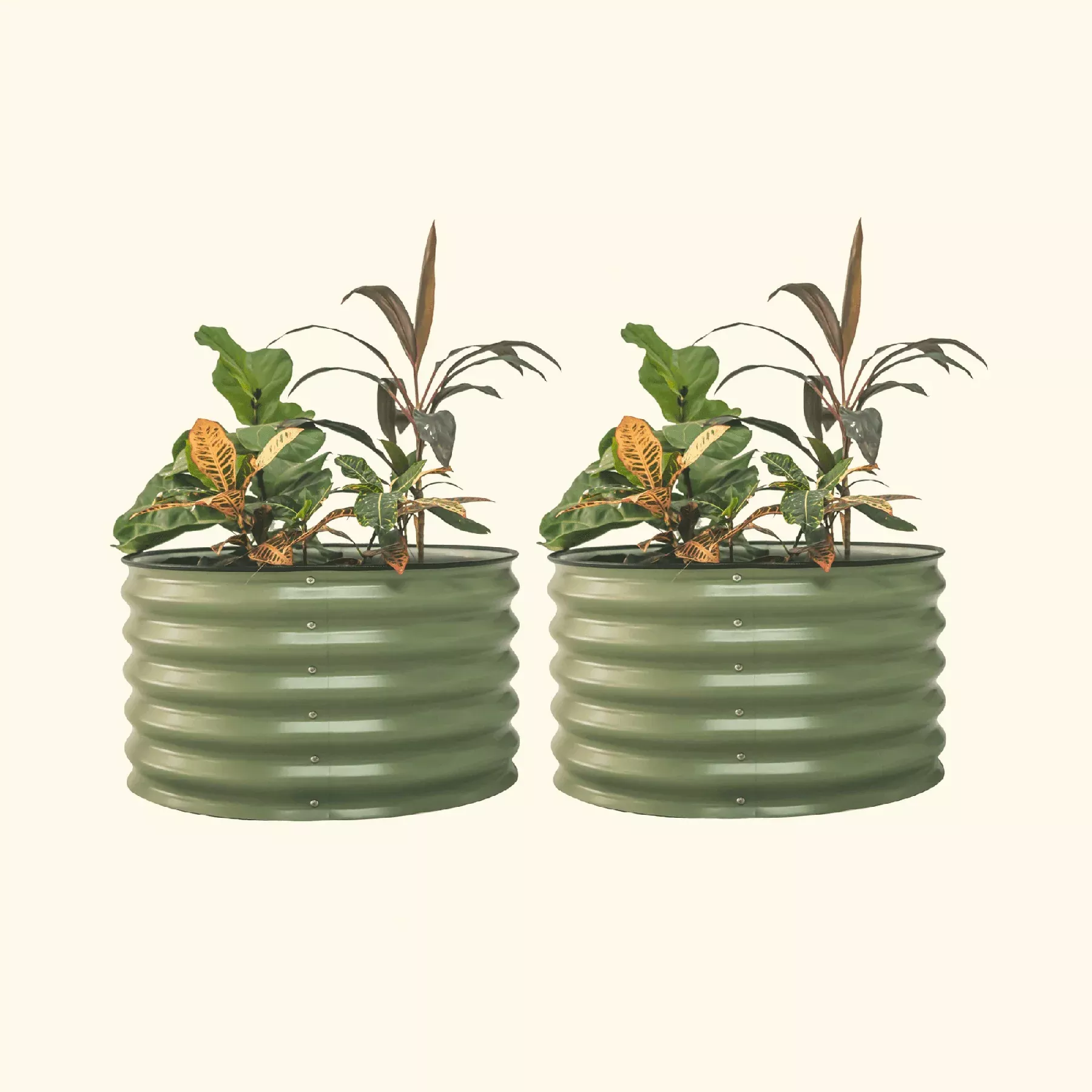 17-tall-berry-garden-bed-30-wide-twin-pack 17" Tall Berry Garden Bed 30" Wide - Twin Pack