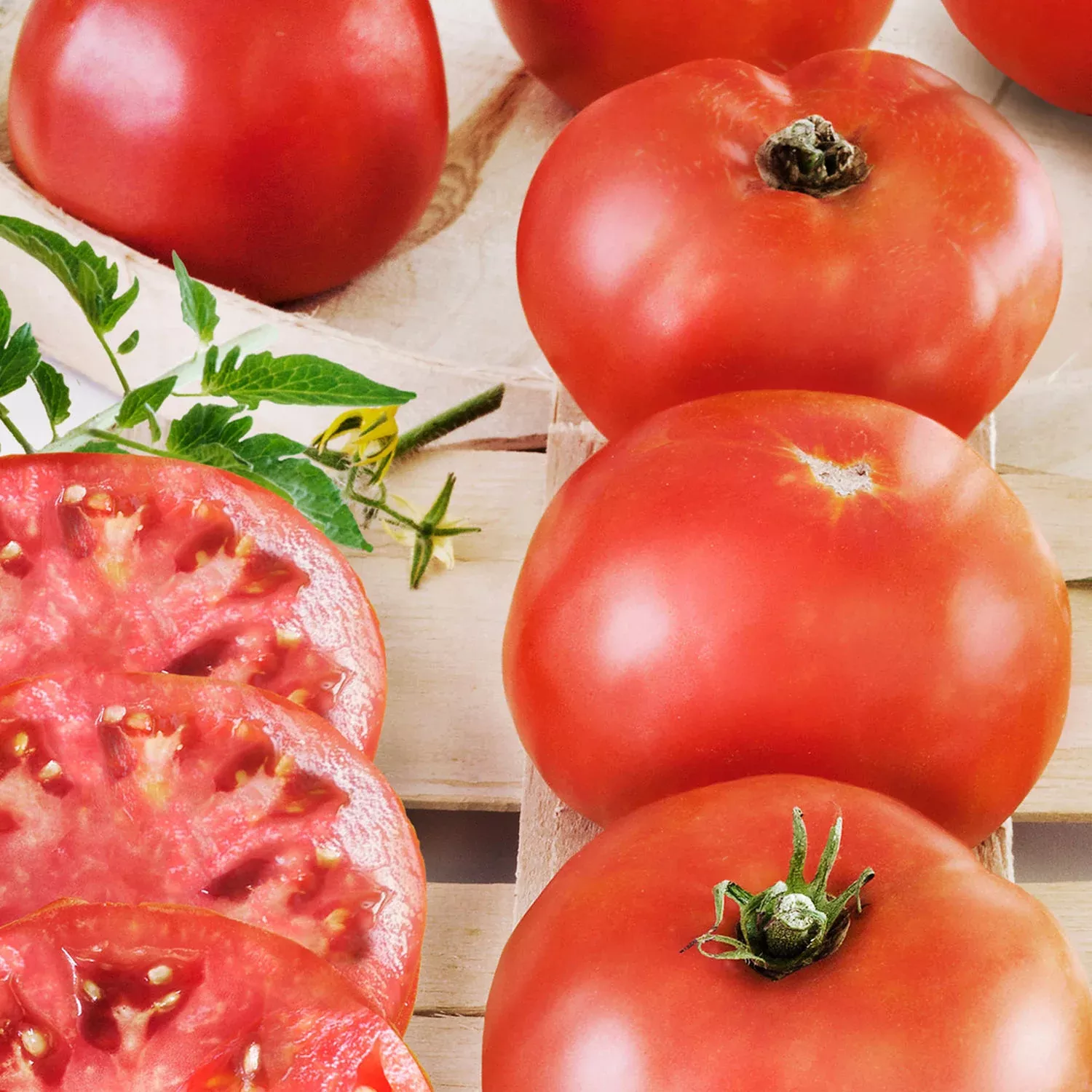 2-32-qt-big-boy-tomato 2.32 qt. Big Boy Tomato