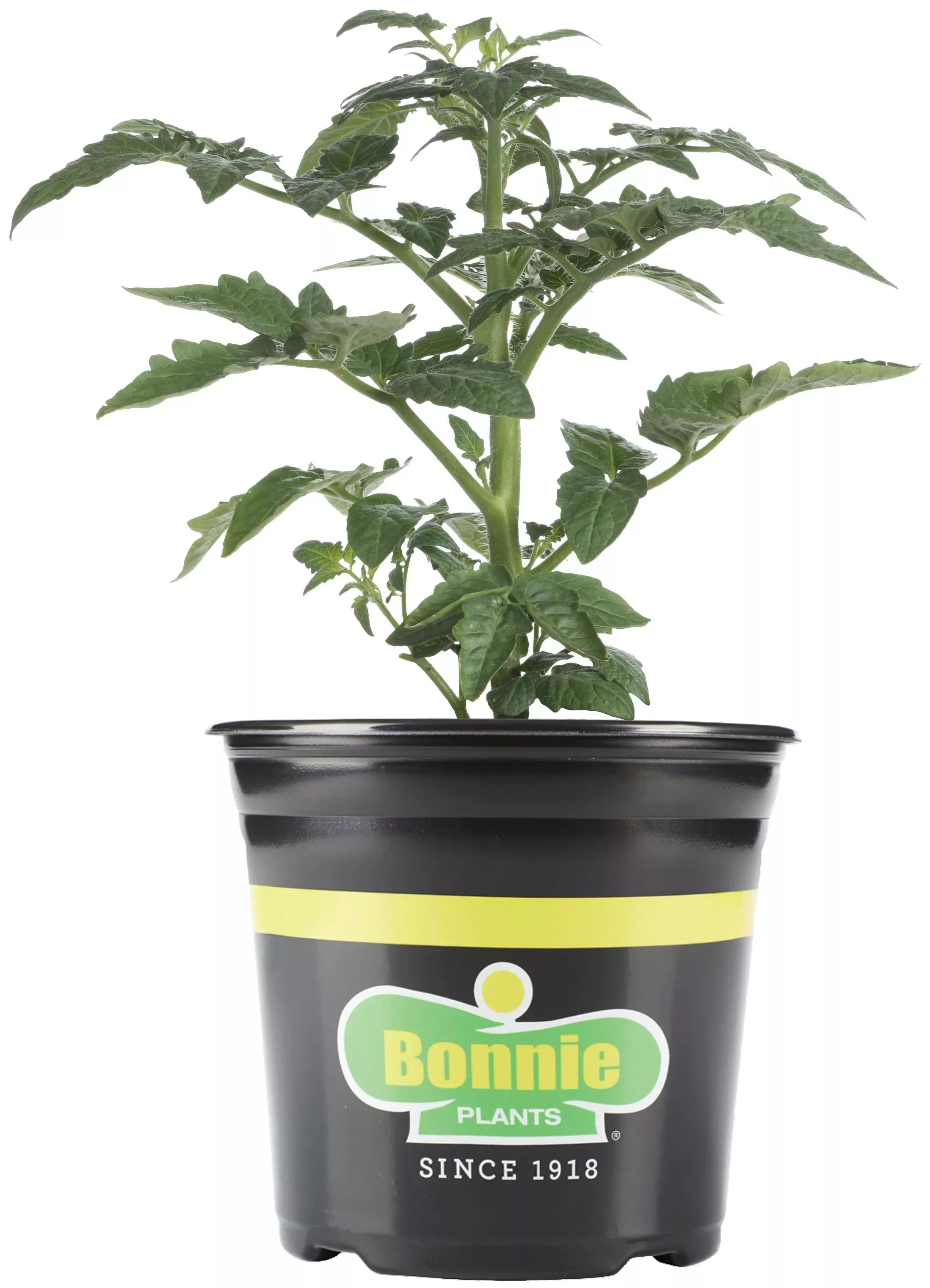 2-32-qt-heatmaster-tomato 2.32 qt. Heatmaster Tomato