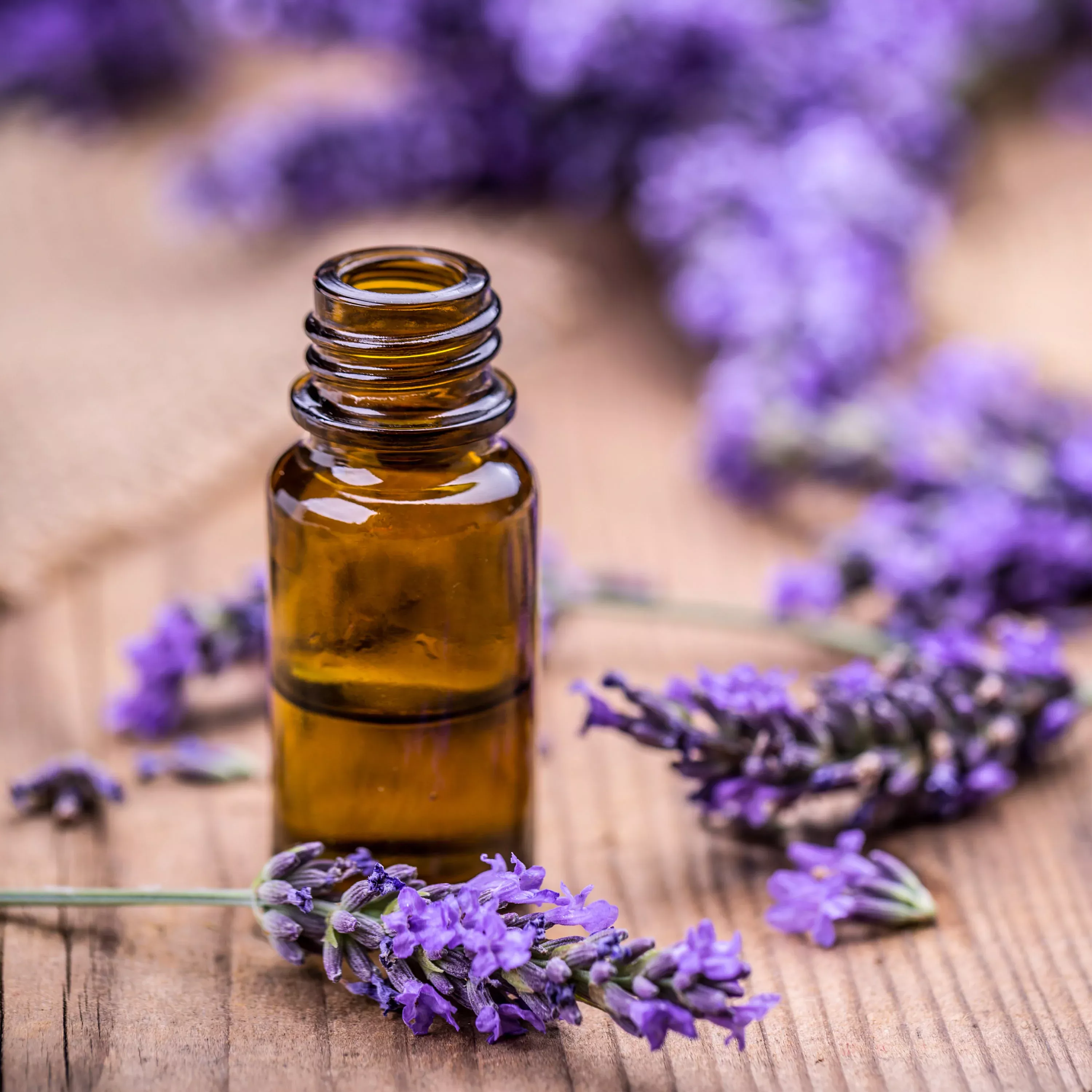 2-32-qt-lavender 2.32 qt. Lavender