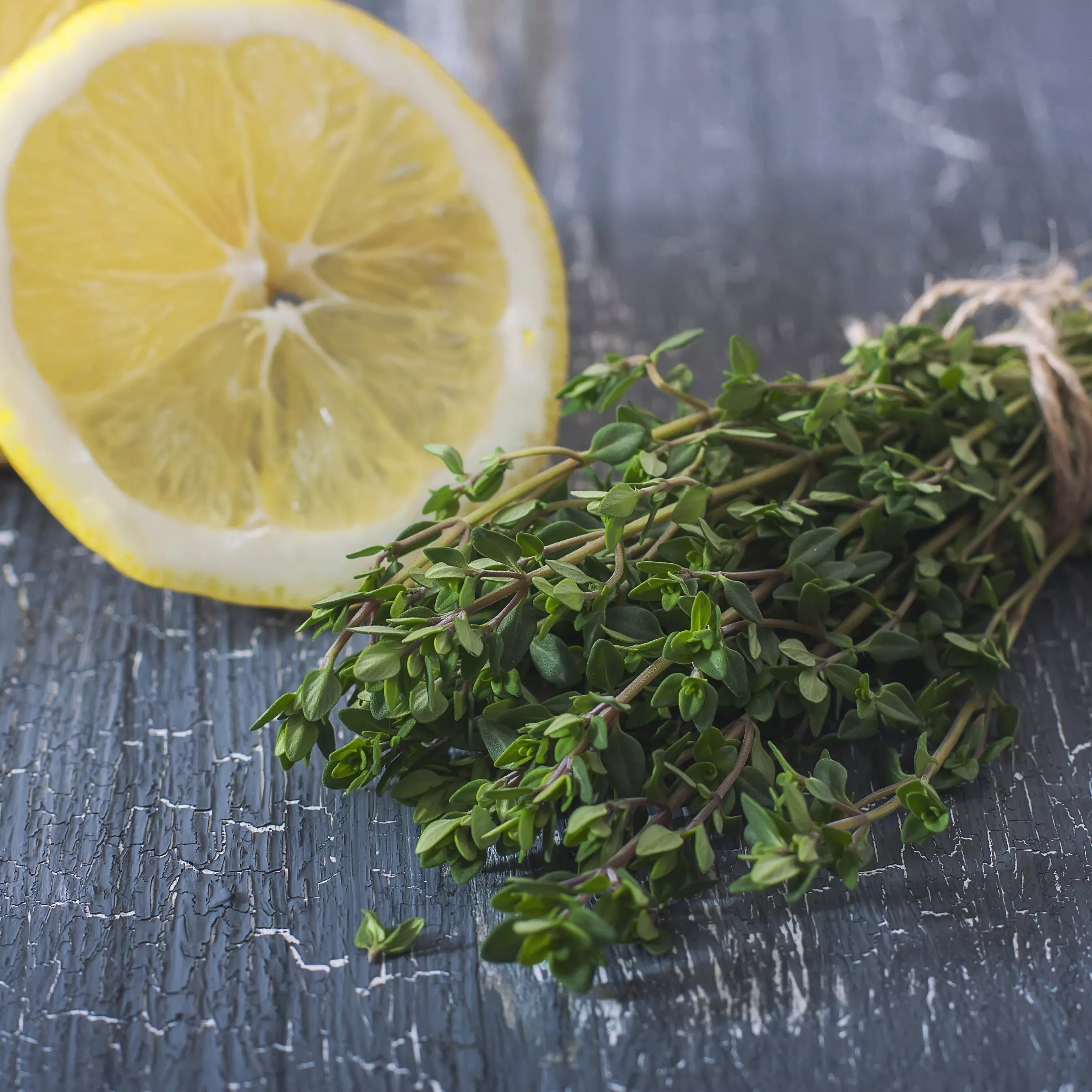 2-32-qt-lemon-thyme 2.32 qt. Lemon Thyme