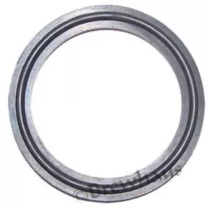 3'' Tri-Clamp Gasket