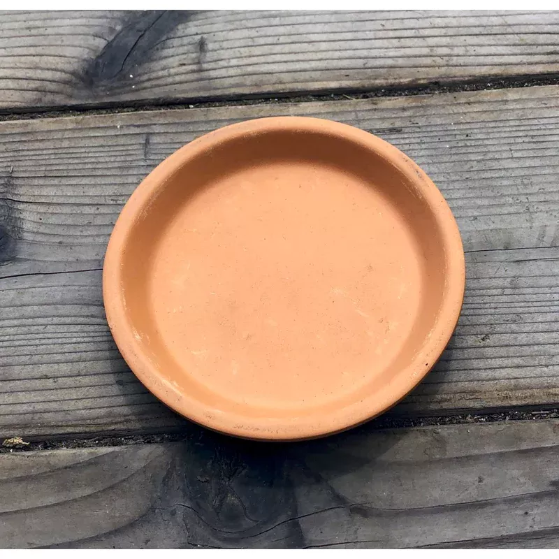 4-3-bell-saucer 4.3” Bell Saucer