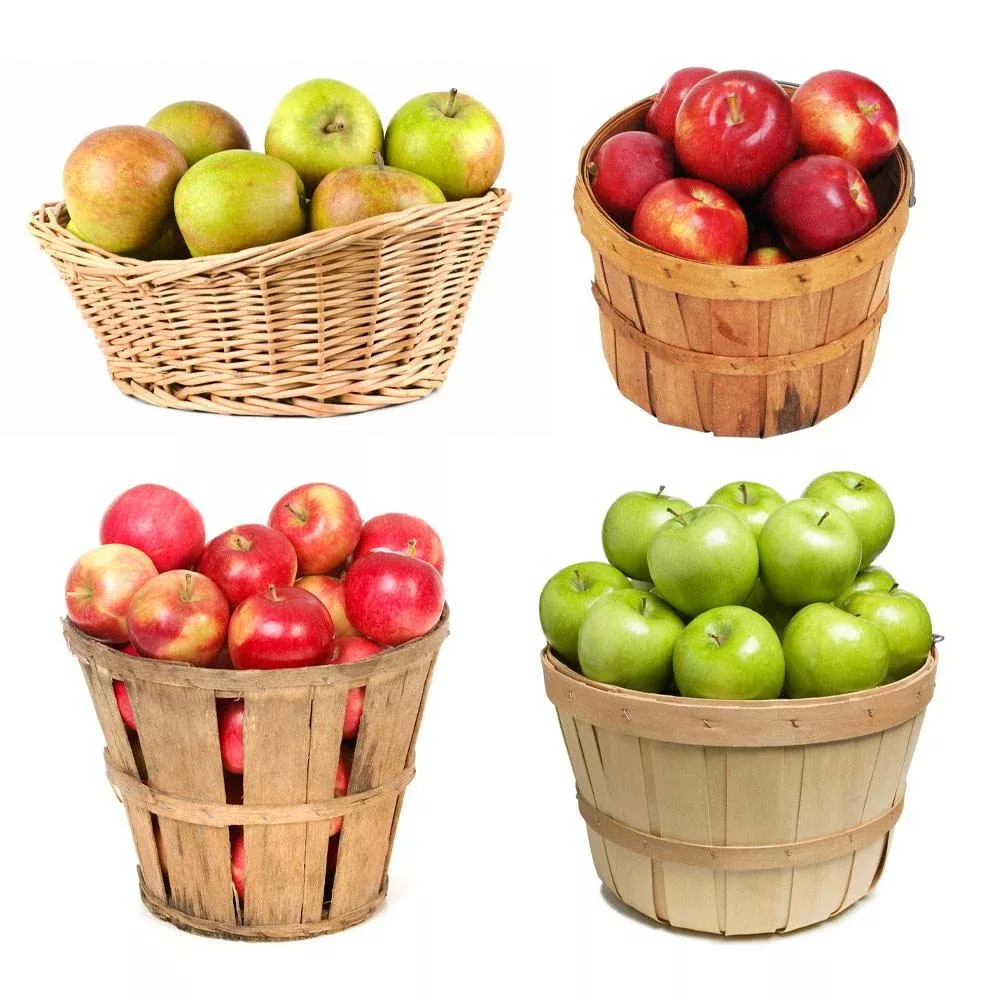 4-in-1-apple-tree 4-in-1 Apple Tree