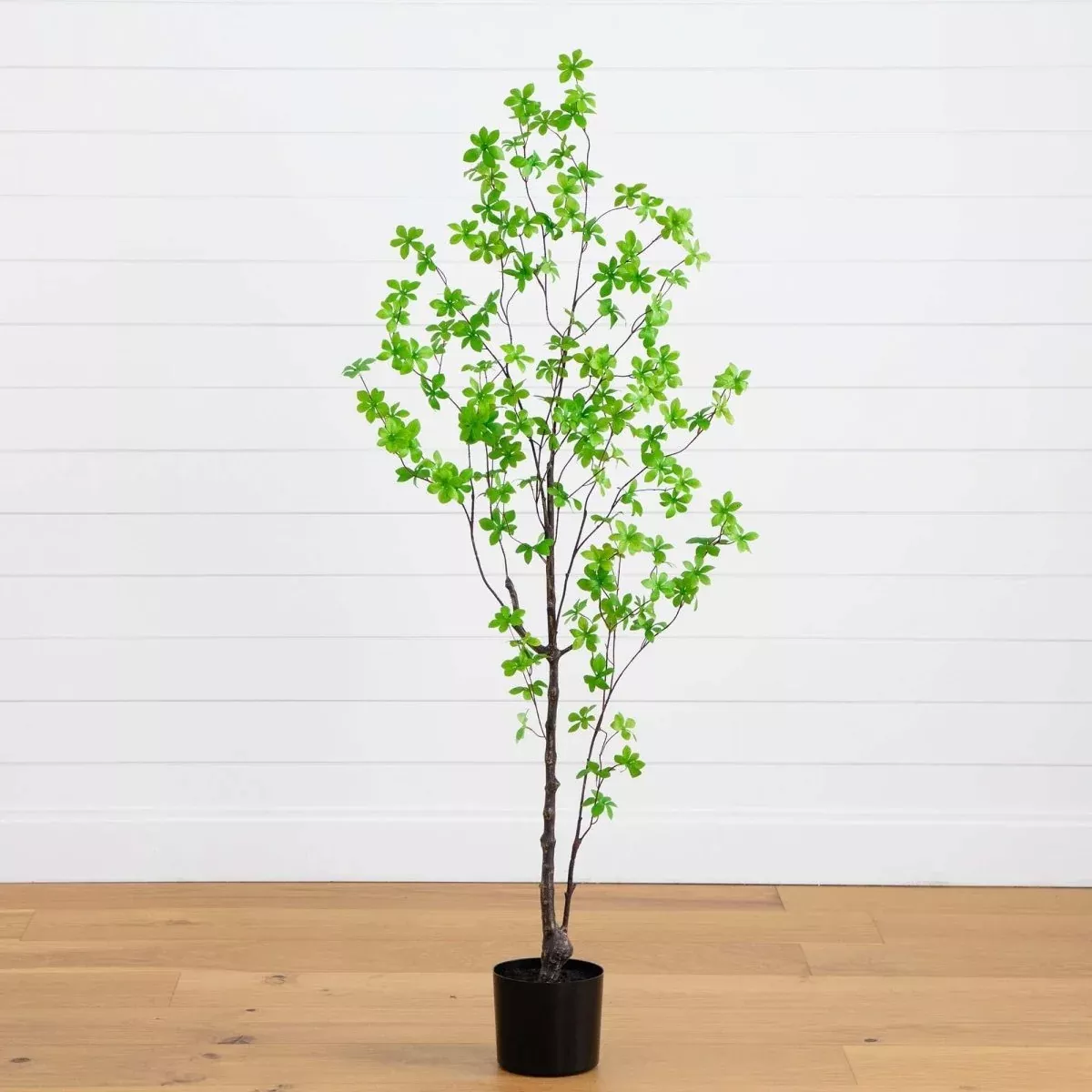 5-ft-artificial-minimalist-enkianthus-tree 5-ft Artificial Minimalist Enkianthus Tree