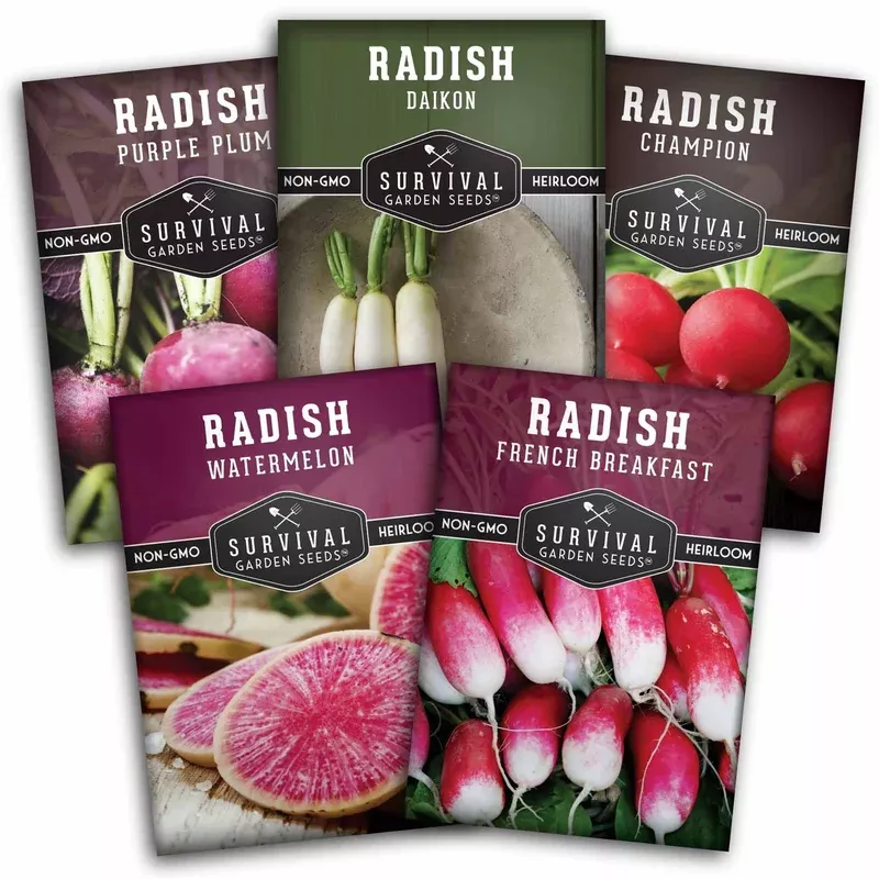 5-variety-radish-seeds-pack-heirloom-collection-spring-summer-fall-gardens 5 Variety Radish Seeds Pack – Heirloom Collection for Spring, Summer & Fall Gardens