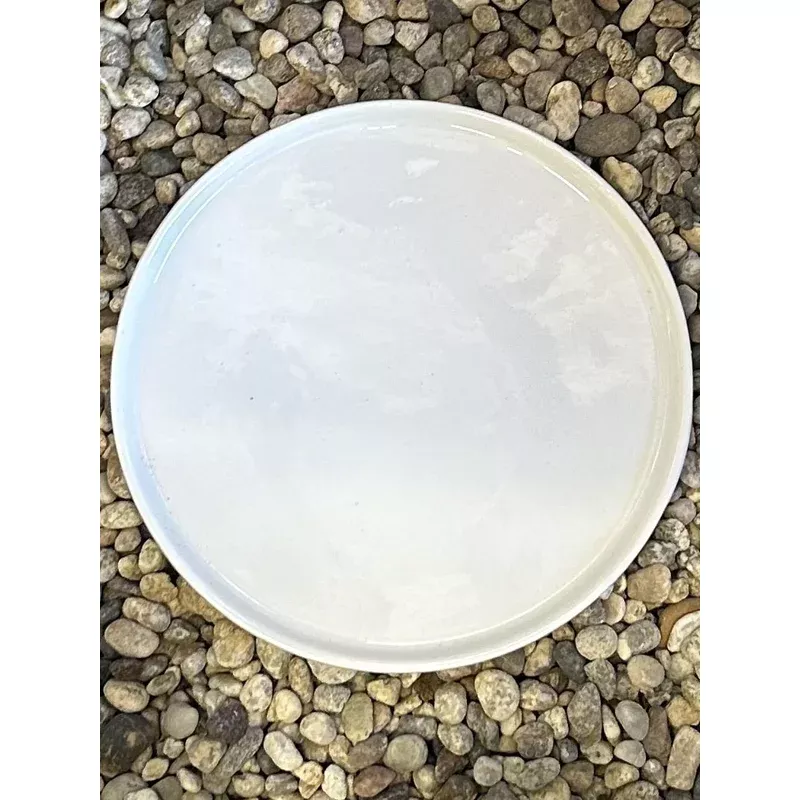 6" Gloss White Saucer