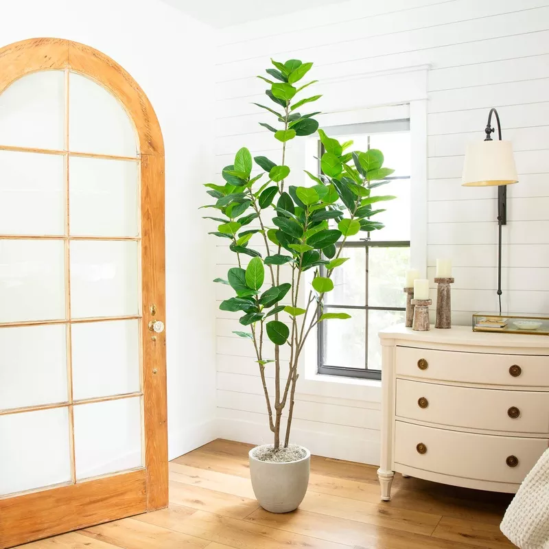 7-artificial-minimalist-audrey-ficus-tree 7′ Artificial Minimalist Audrey Ficus Tree