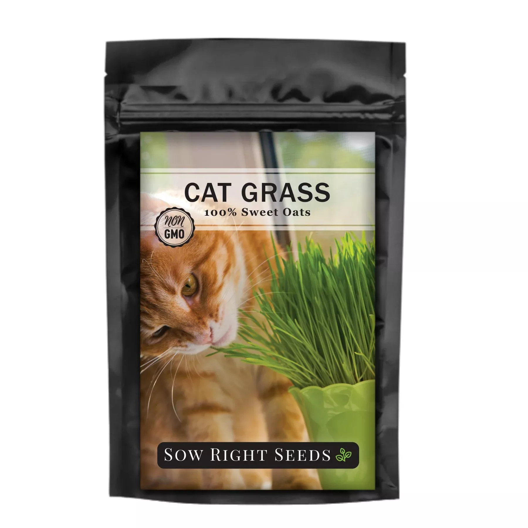 8-oz-bulk-cat-grass-sweet-oats 8 oz Bulk Cat Grass Sweet Oats
