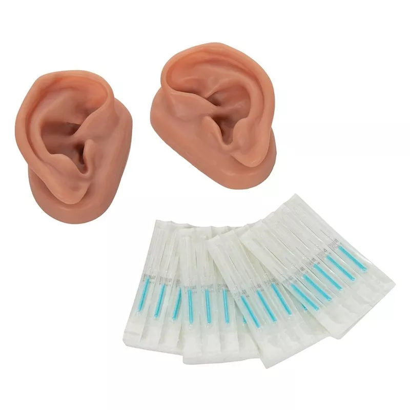 acupuncture-ear-models-set-10-students Acupuncture Ear Models, Set for 10 Students
