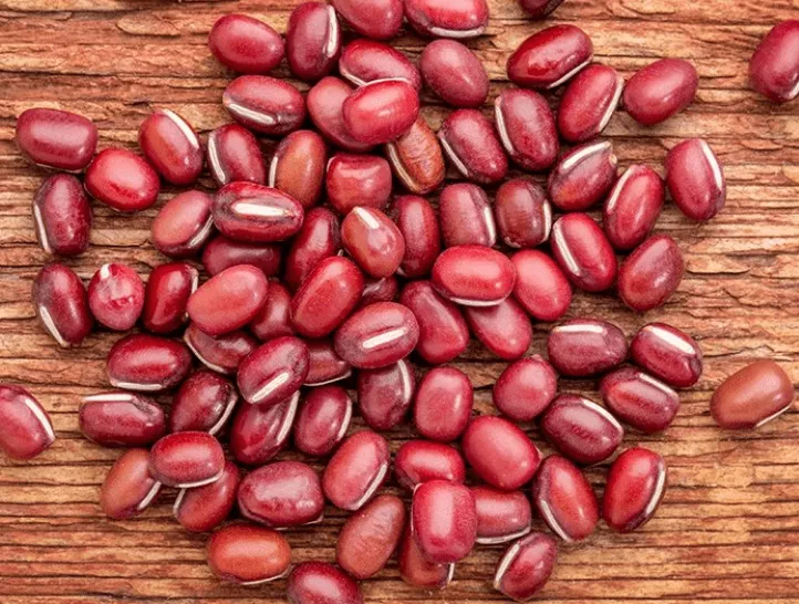 Adzuki Bean
