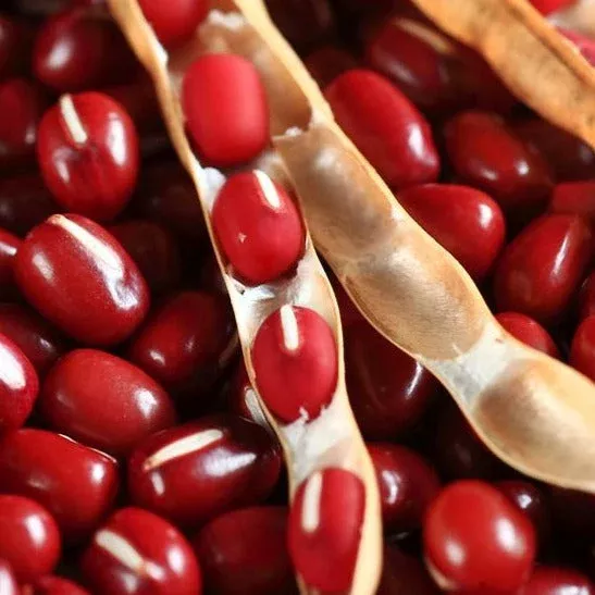 adzuki-red-bean Adzuki Red Bean
