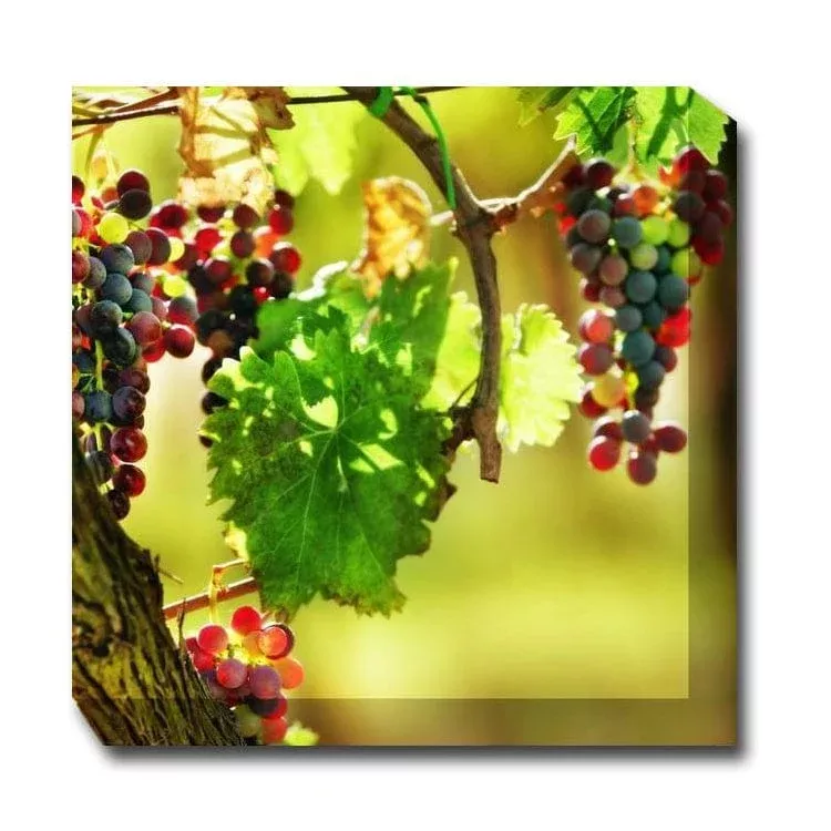 agosto-outdoor-canvas-art Agosto Outdoor Canvas Art