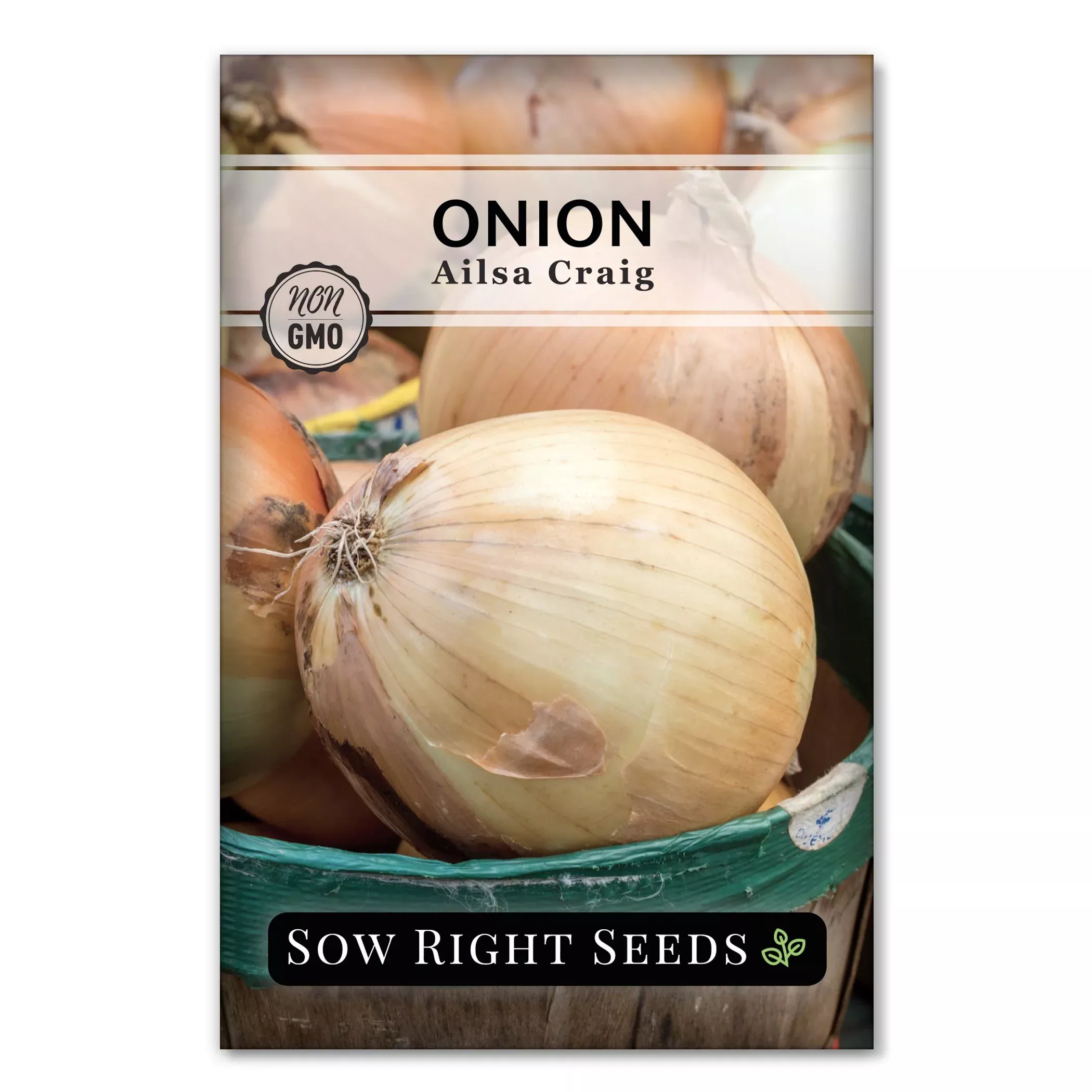 ailsa-craig-onion Ailsa Craig Onion