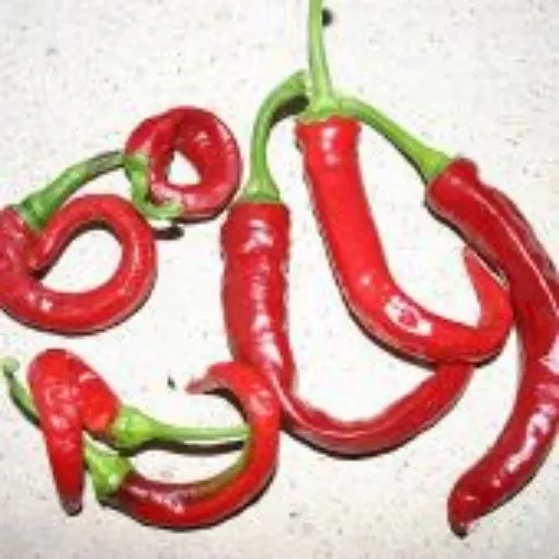 aji-cacho-de-cabra-pepper-seeds Aji Cacho de Cabra Pepper Seeds