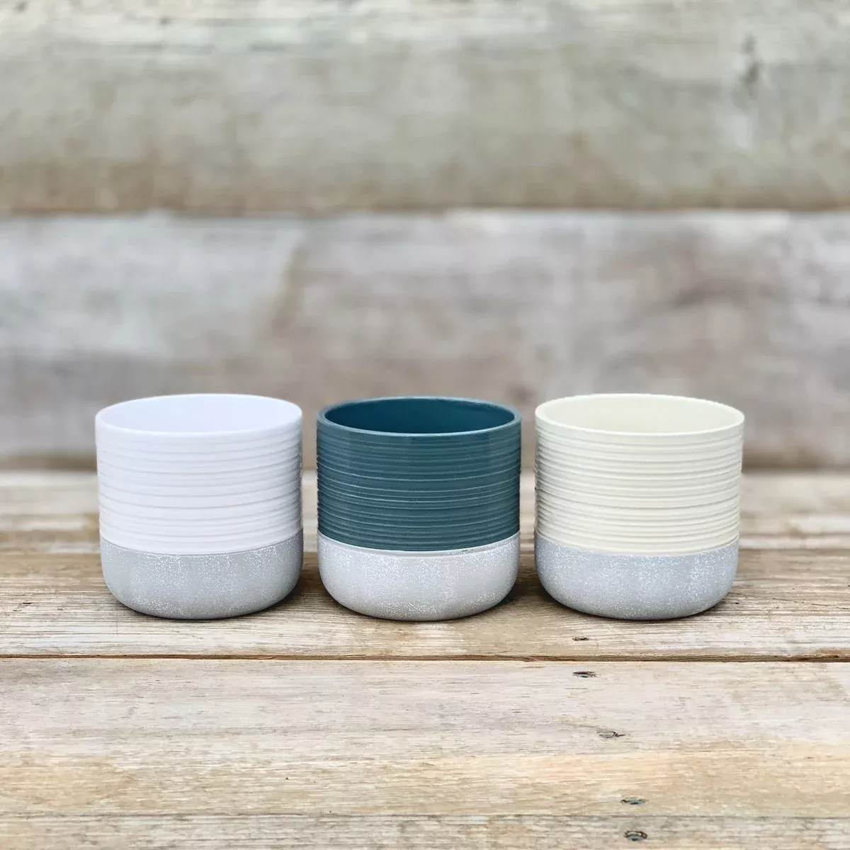 Alieda Two Tone Pot