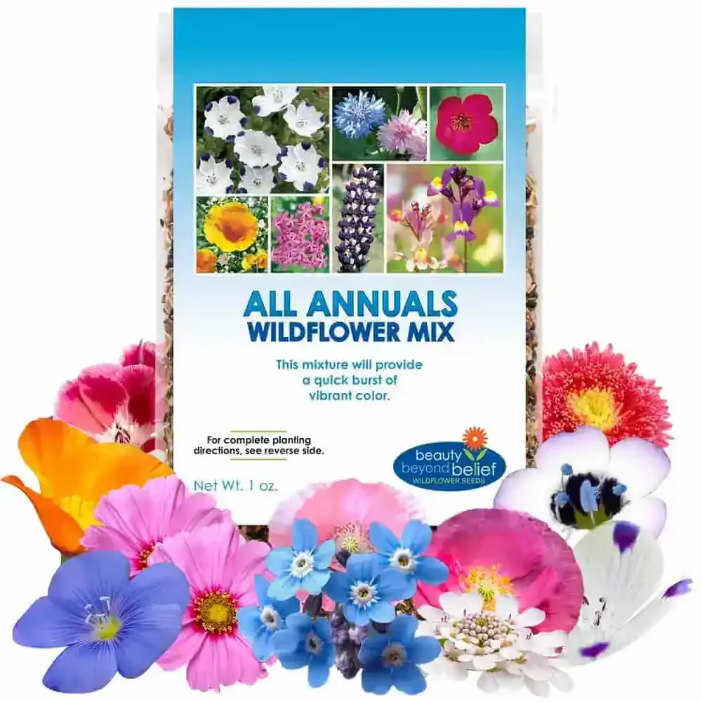 all-annuals-wildflower-mix All Annuals Wildflower Mix