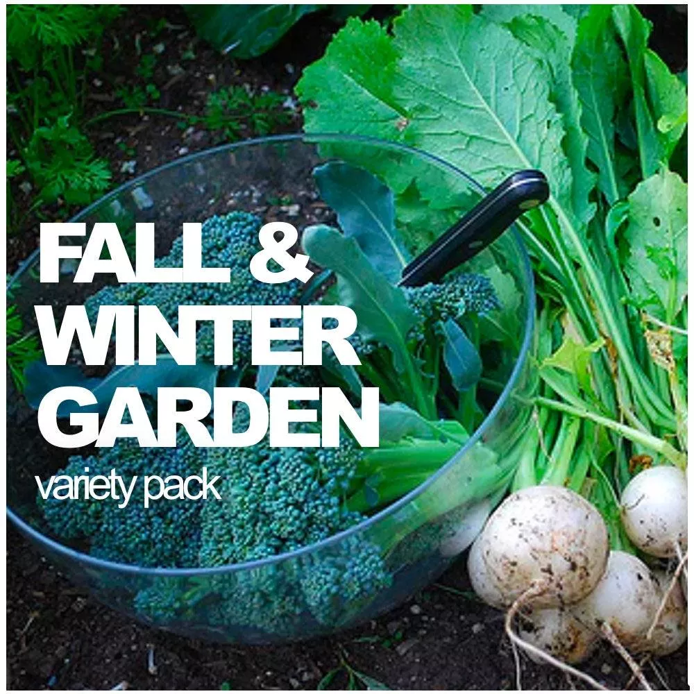 All-in-One Fall/Winter Variety Pack