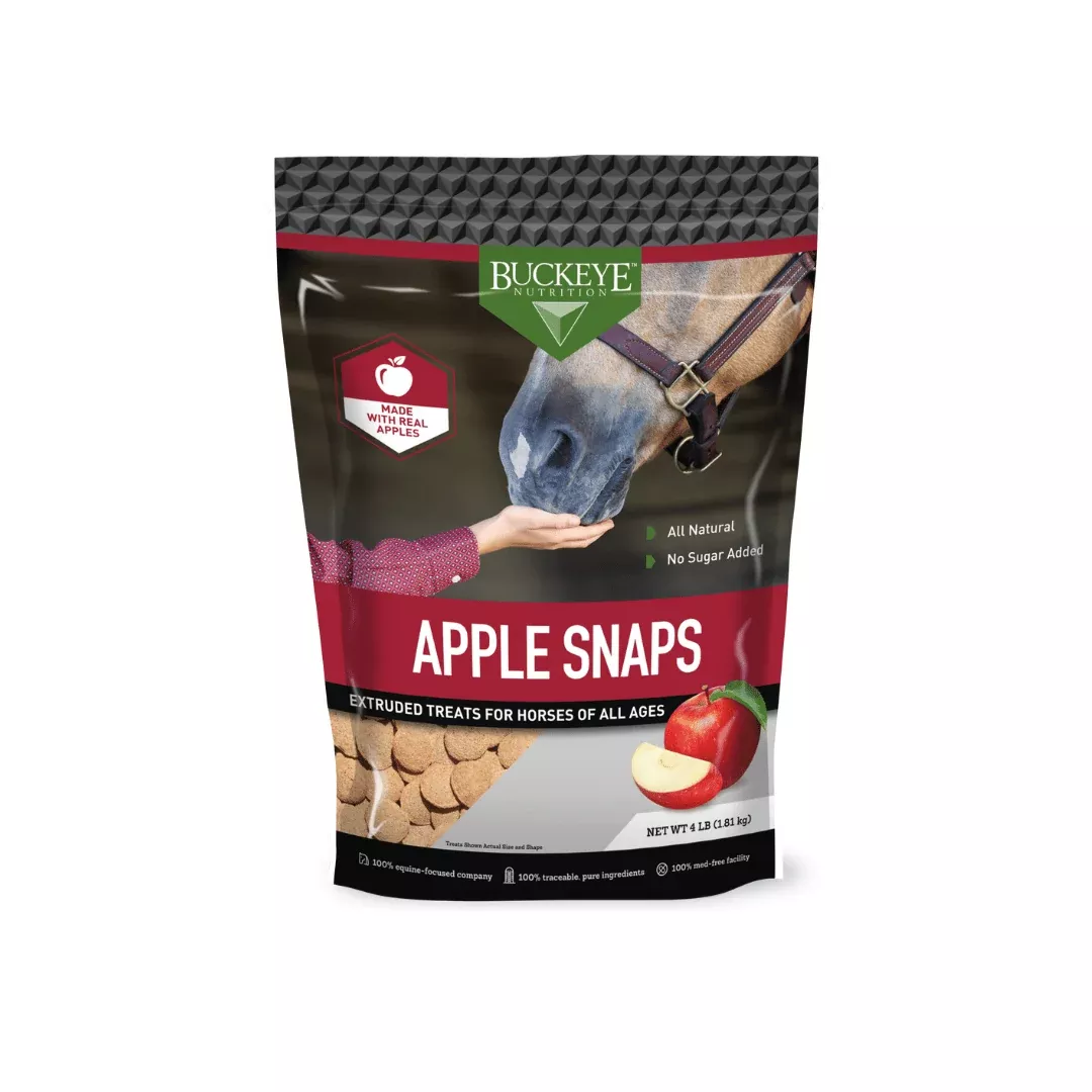 All Natural No Sugar Added Apple Snap Treats
