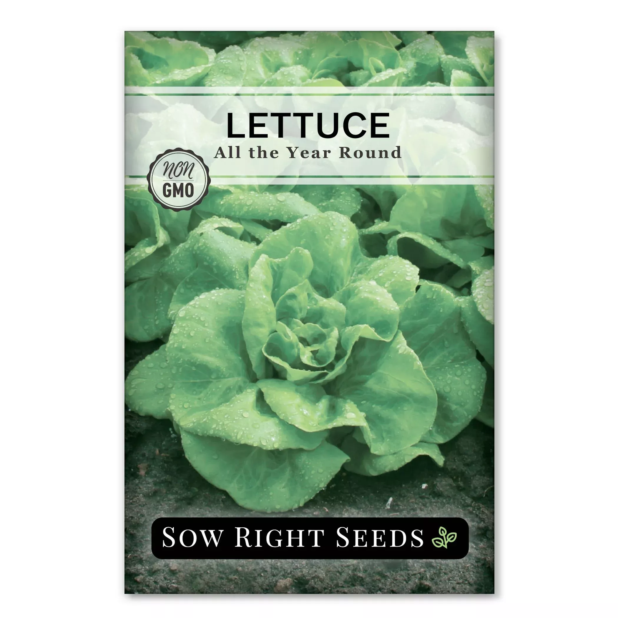 all-year-round-lettuce All the Year Round Lettuce