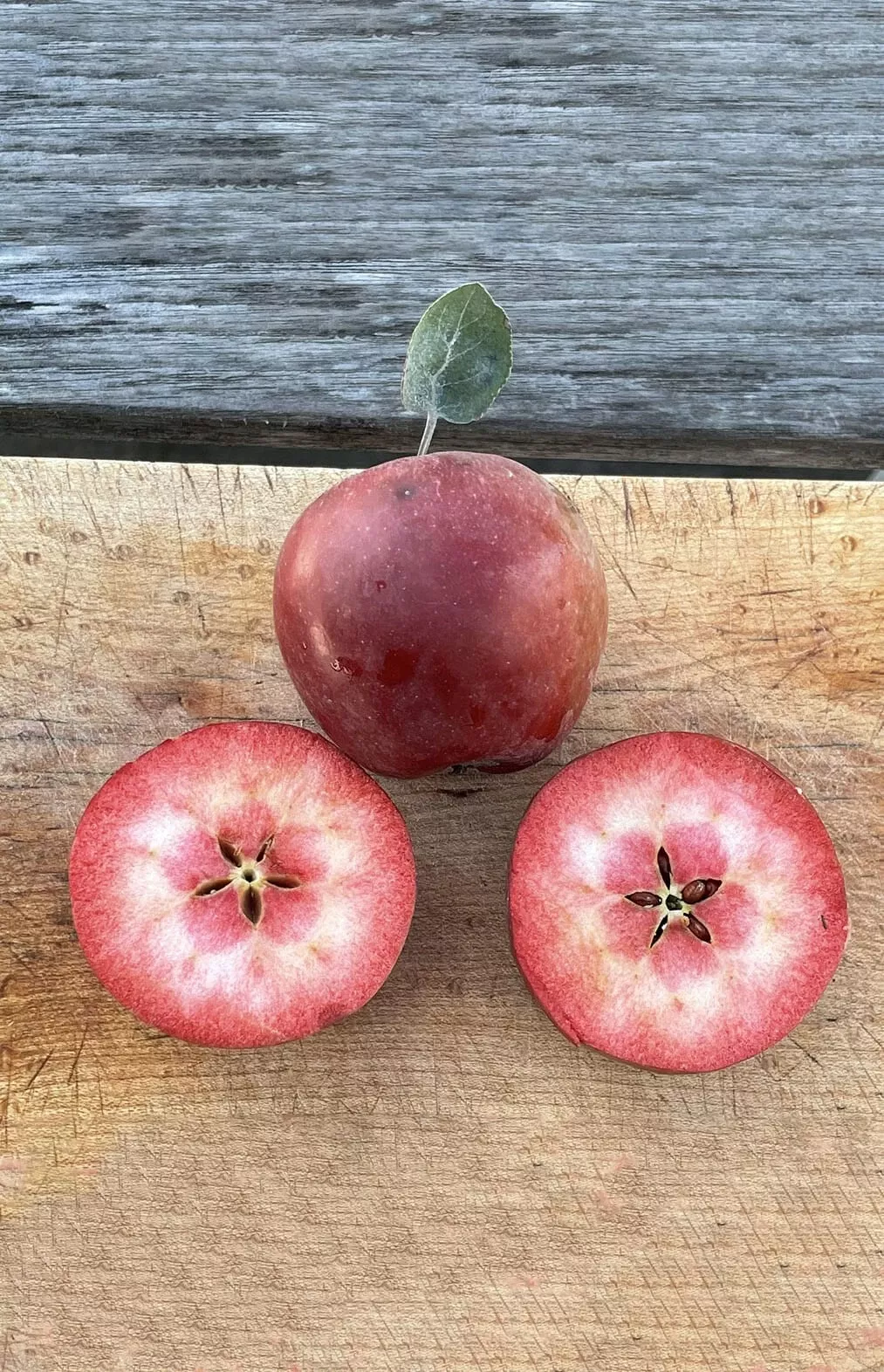 almata-apple Almata Apple