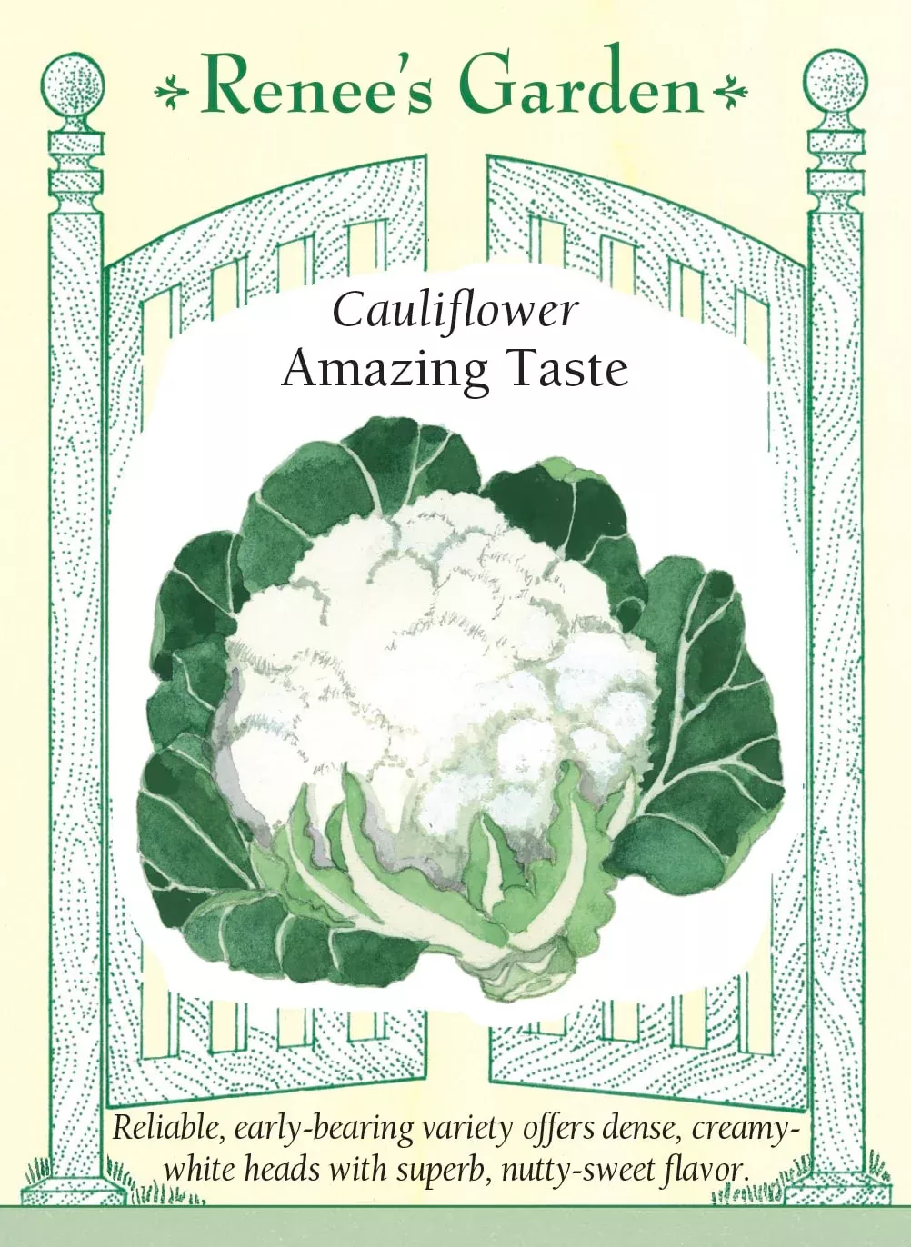 amazing-taste Amazing Taste