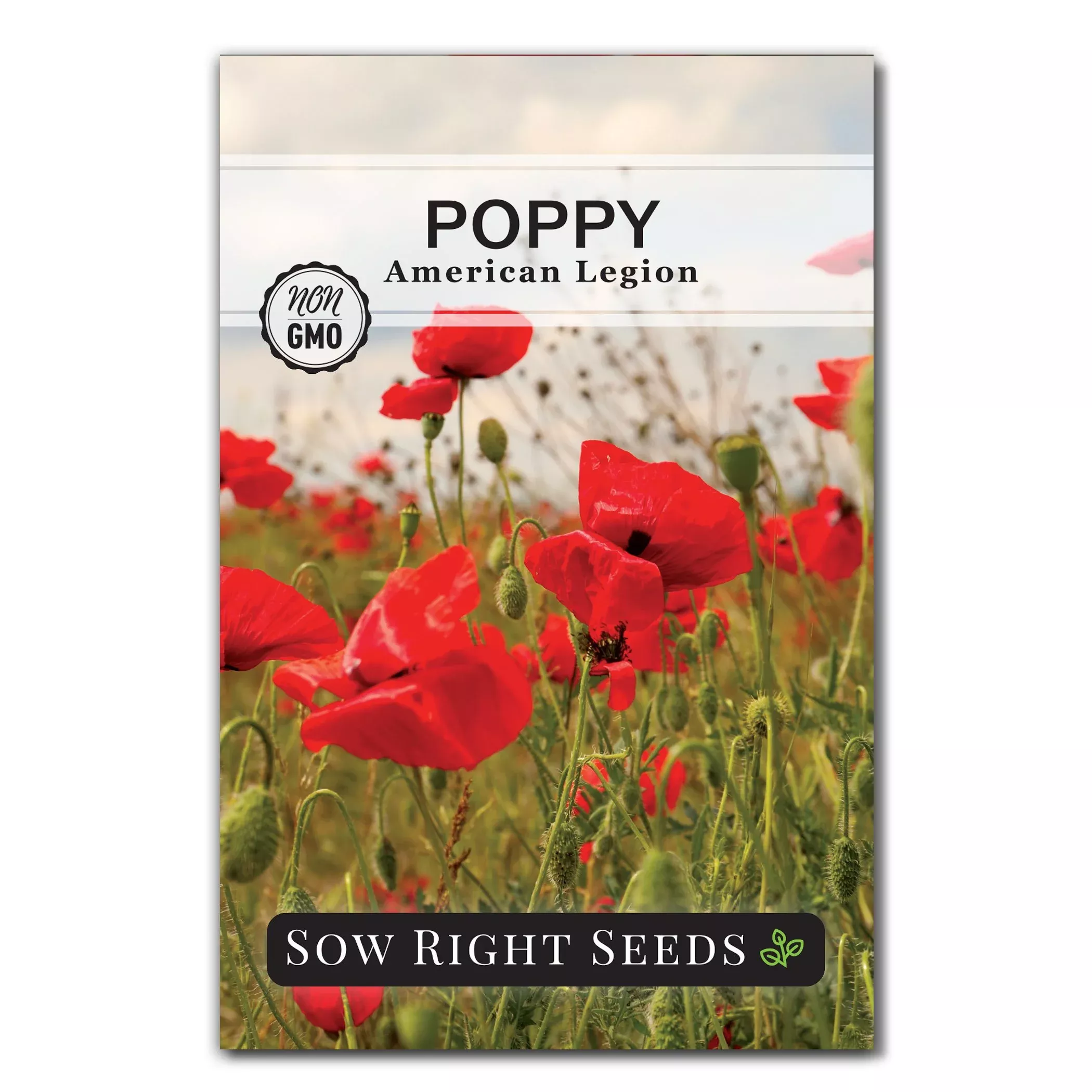 american-legion-poppy-seeds American Legion Poppy Seeds