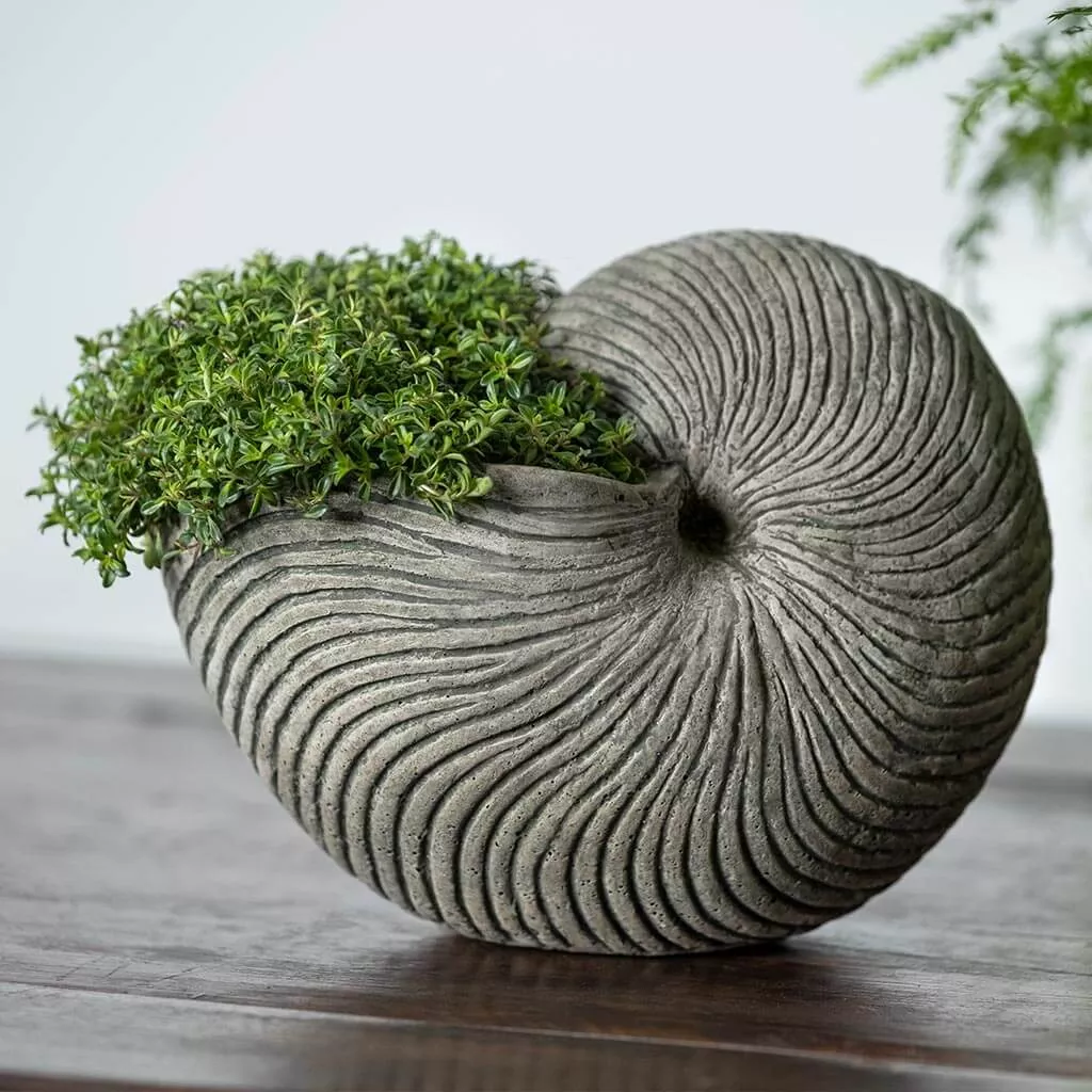 ammonite-planter-by-campania-international Ammonite Planter By Campania International