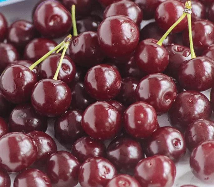 angela-cherry Angela Cherry