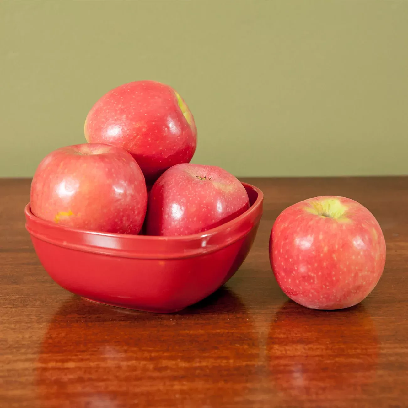 anna-apple-tree Anna Apple Tree