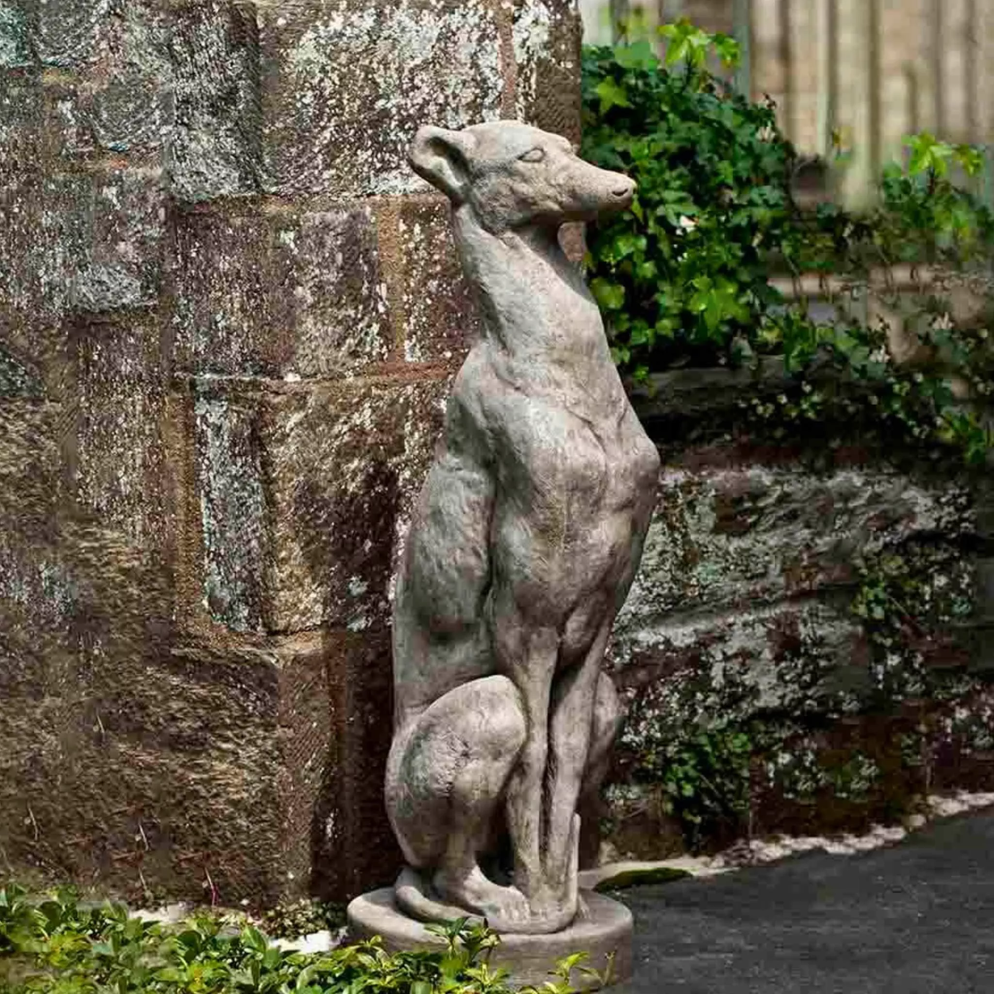 antique-greyhound-concrete-garden-statue-campania-a478 Antique Greyhound Concrete Garden Statue - Campania #A478