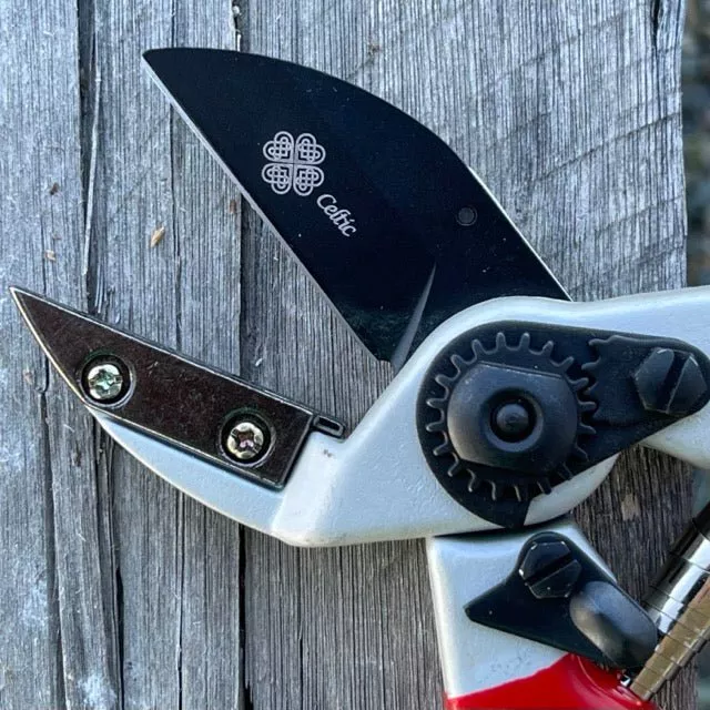 anvil-pruner-quality-anvil-blade-shears Anvil Pruner - Quality Anvil + Blade Shears