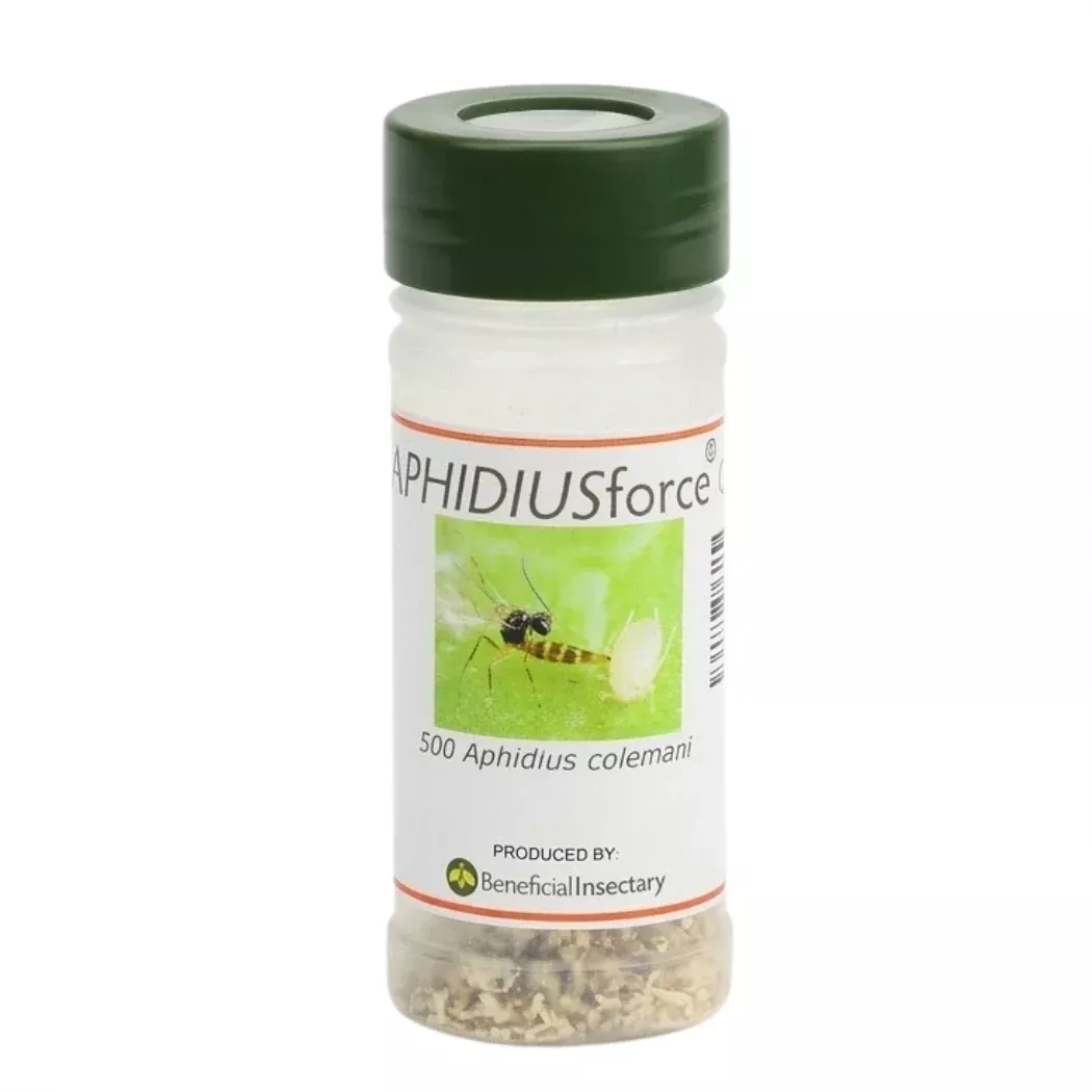 aphidiusforce-c-500-1-000-5-000 APHIDIUSforce™ C (500/ 1,000/ 5,000)