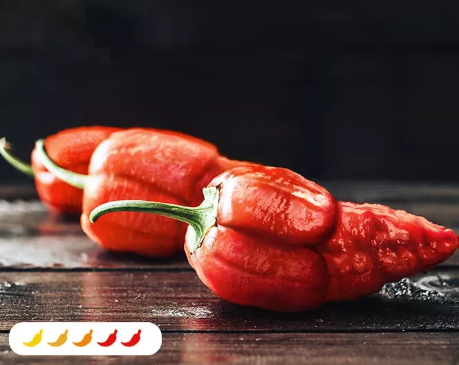 apocalypse-red-pepper-2-pack Apocalypse Red Pepper (2 Pack)