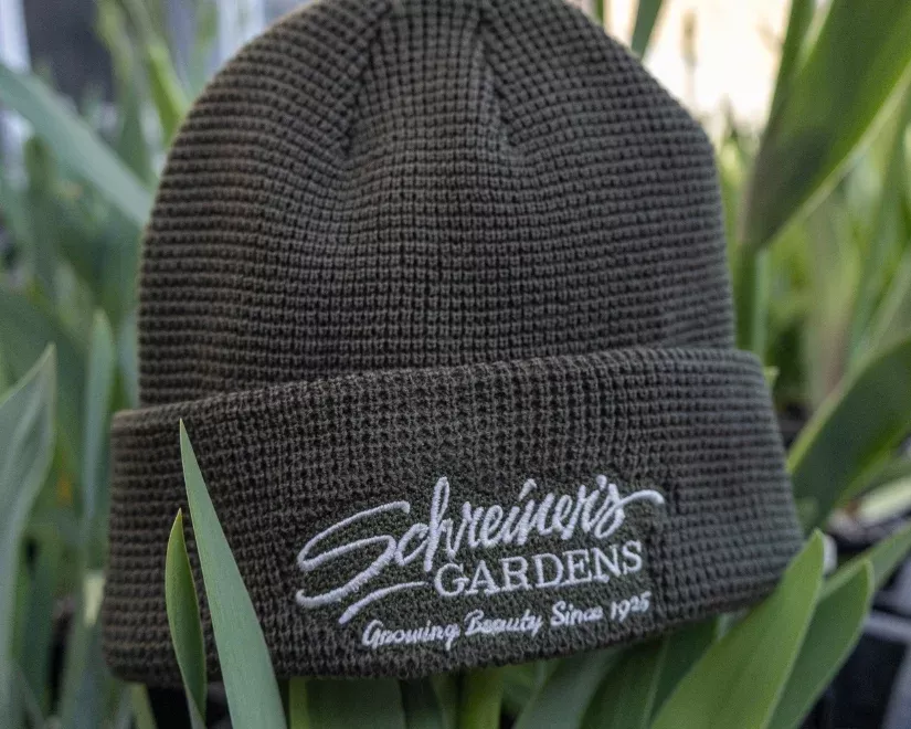 apparel-beanies Apparel: Beanies