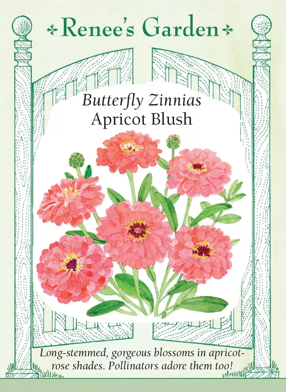 apricot-blush Apricot Blush