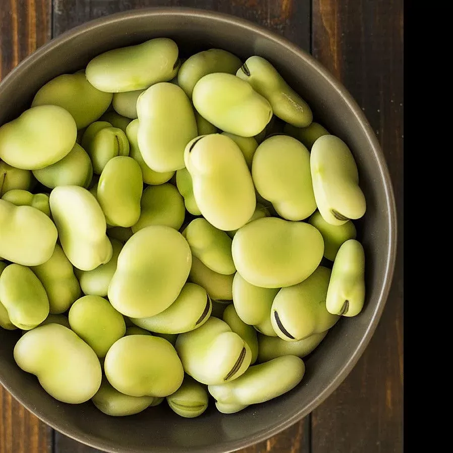 aquadulce-fava-bean Aquadulce Fava Bean