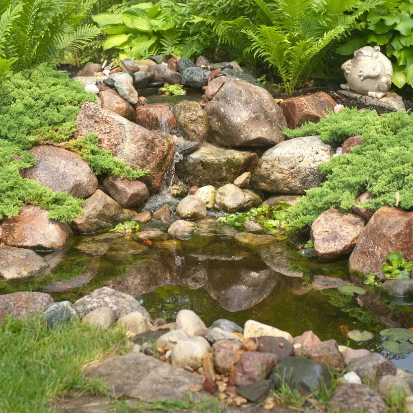 aquascape-diy-backyard-pond-kit-6-x-8 Aquascape DIY BACKYARD POND KIT 6' X 8'