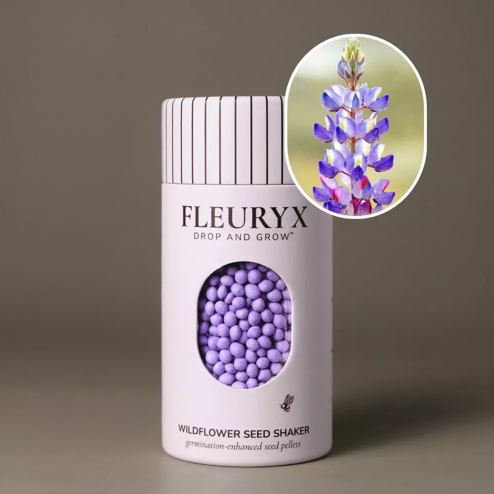 Arizona Lupine (Lupinus arizonicus)