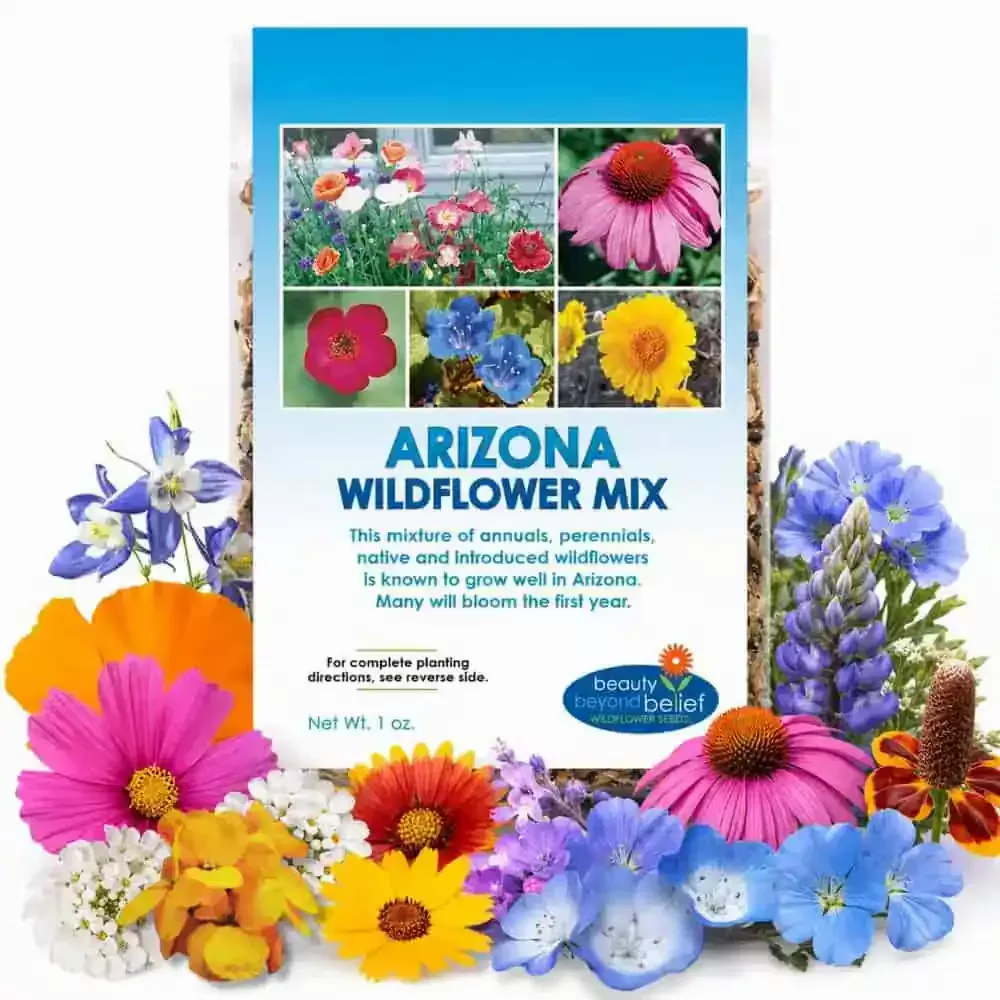 arizona-wildflower-mix Arizona Wildflower Mix