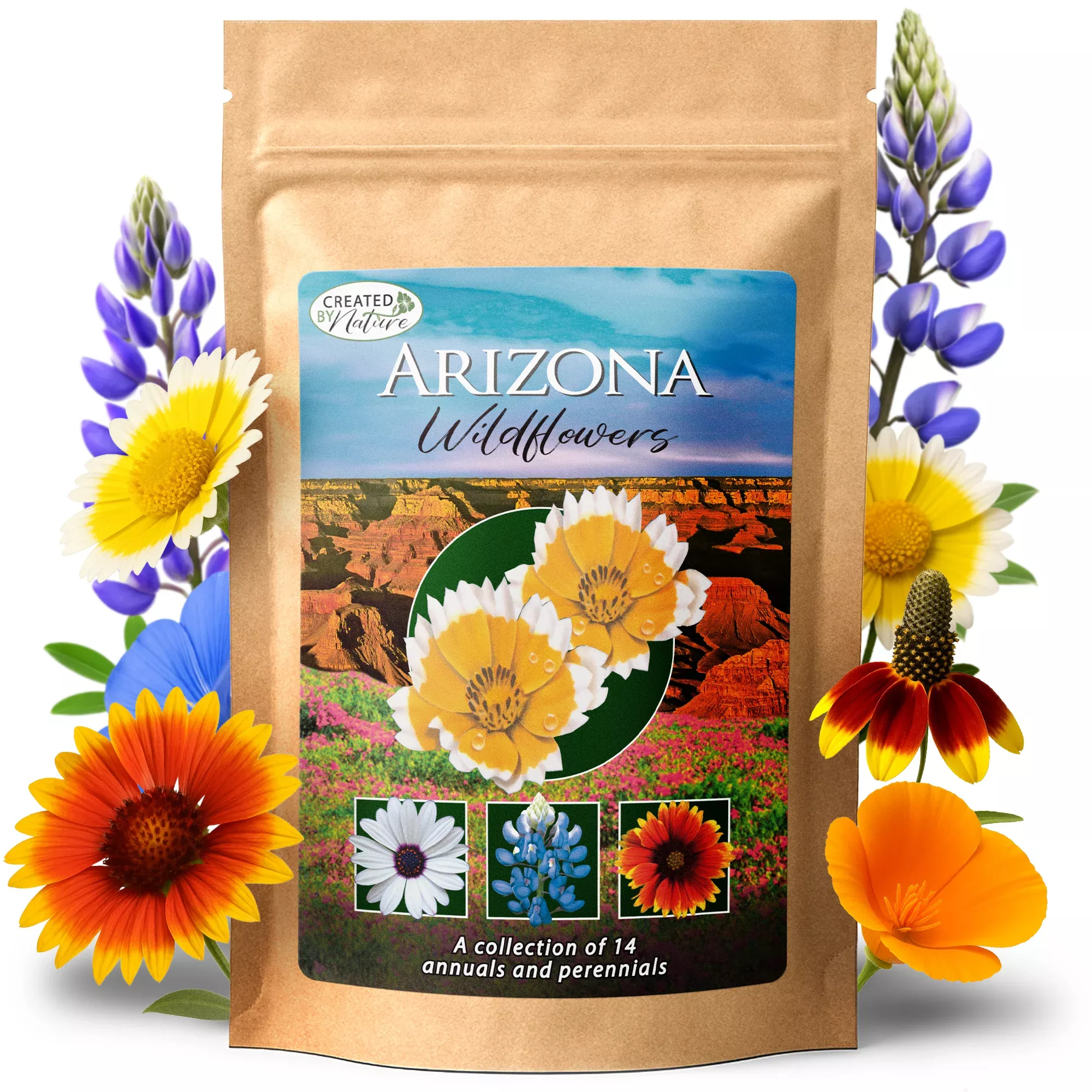 Arizona Wildflower Seed Mix