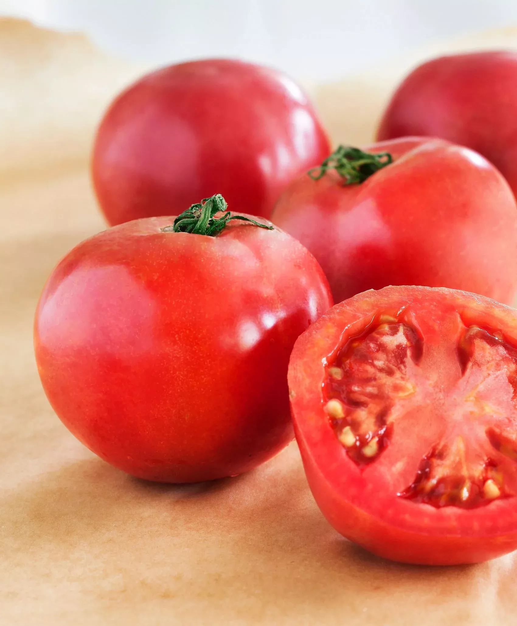 arkansas-traveler-heirloom-tomato-2-pack Arkansas Traveler Heirloom Tomato (2 Pack)