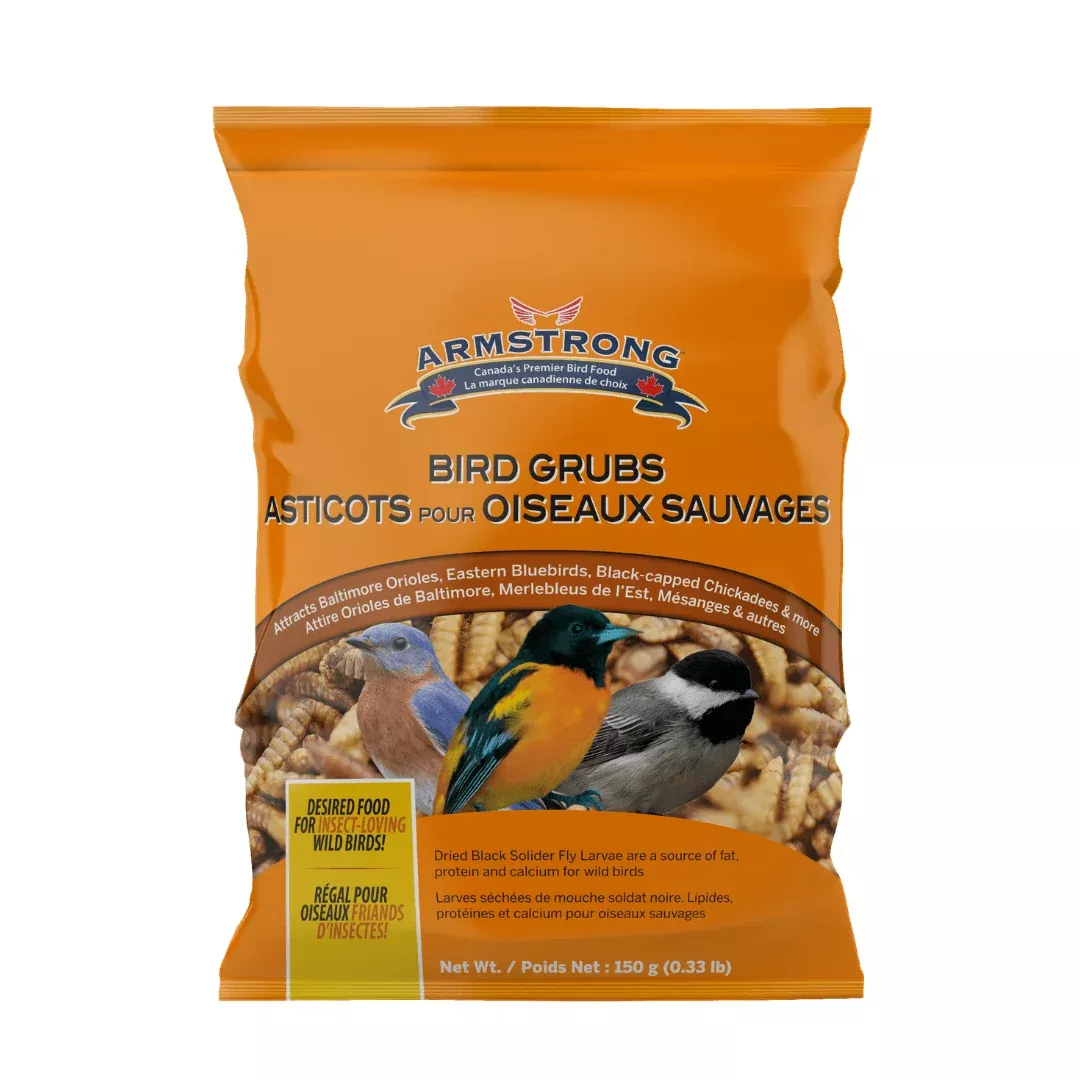 armstrong-bird-grub-mealworms-500g Armstrong Bird Grub Mealworms 500g
